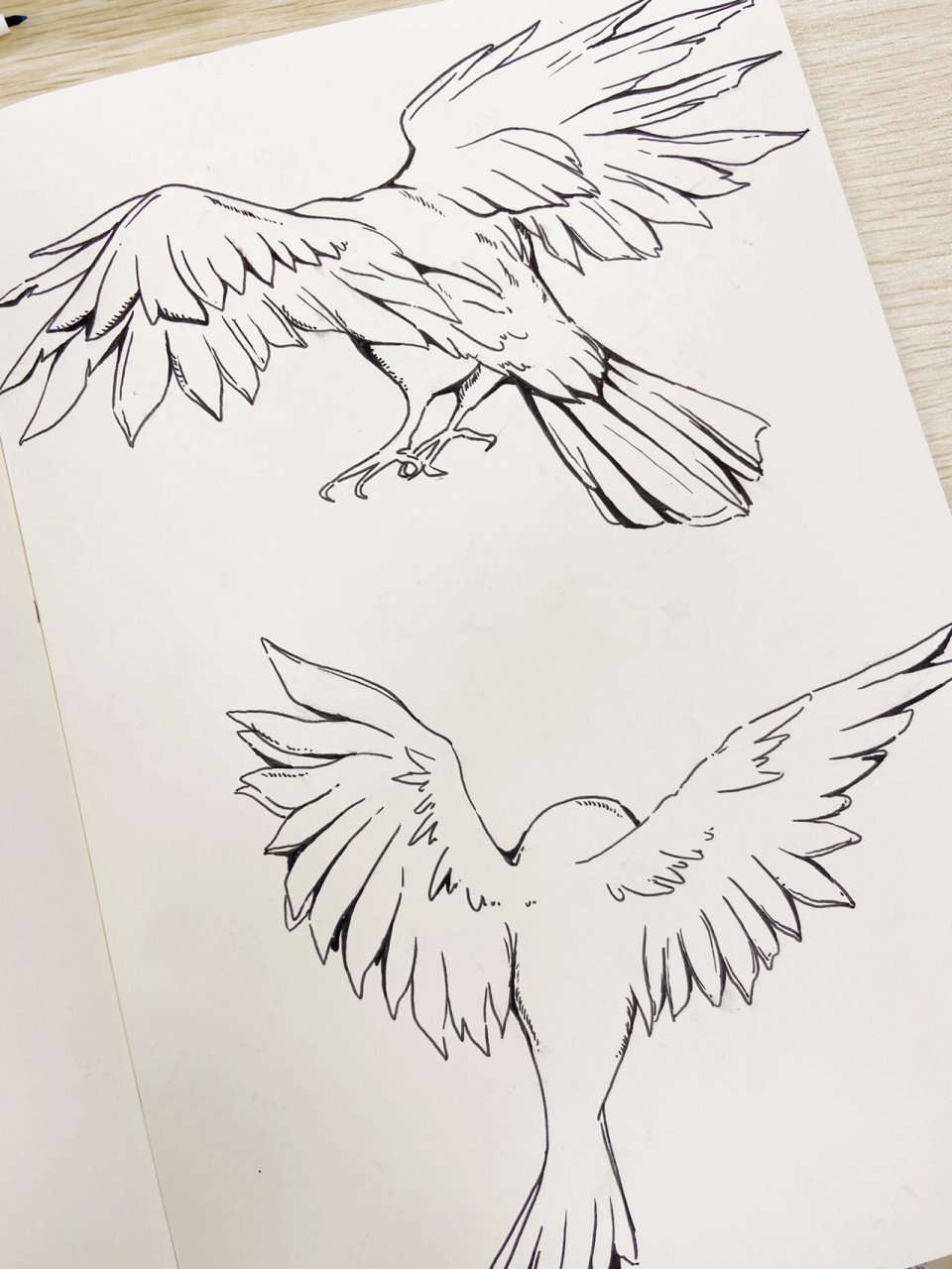 视觉传达手绘素材分析之翅膀 鸟类是视觉传达考研手绘常用的素材,对于