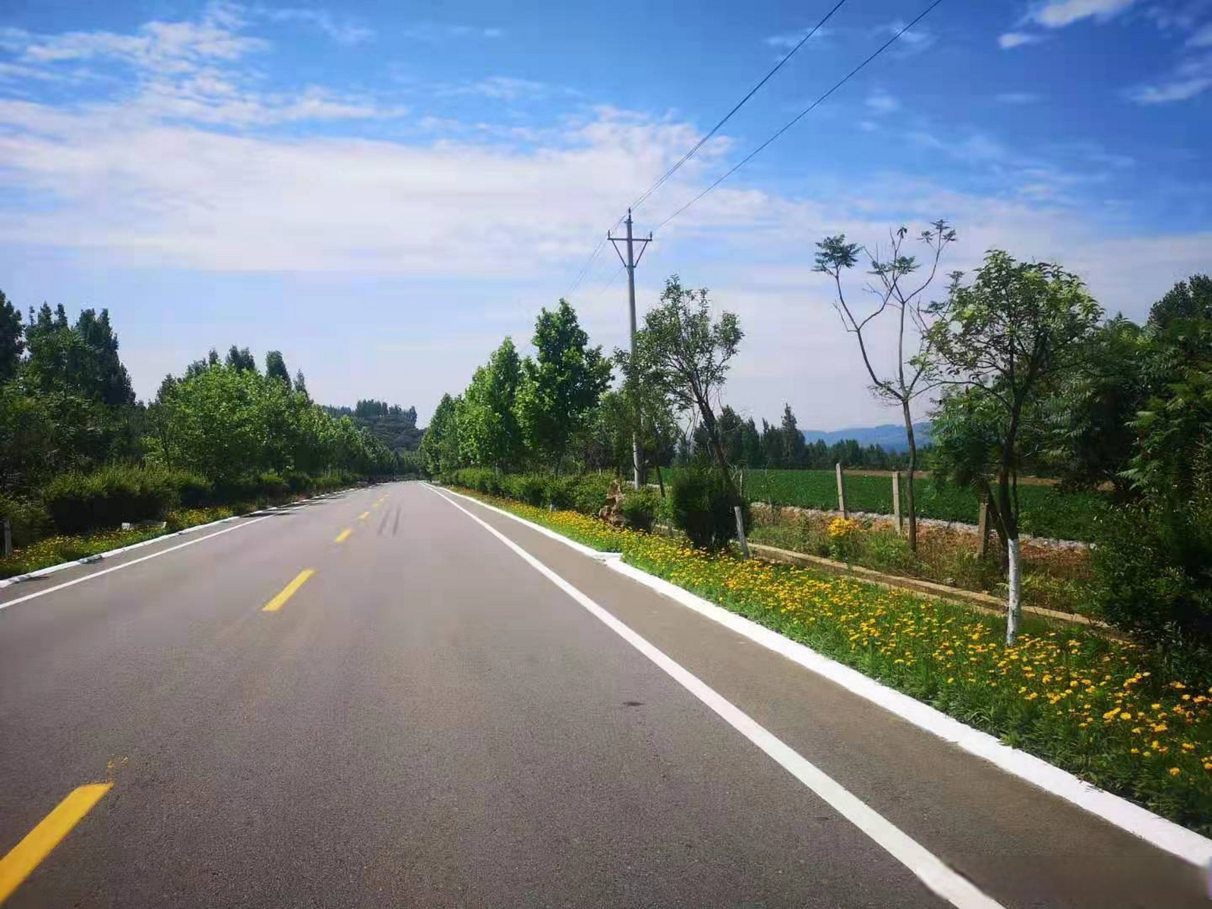 【《临沂市农村公路管理养护办法》 出台实施】近日,临沂市政府办公室