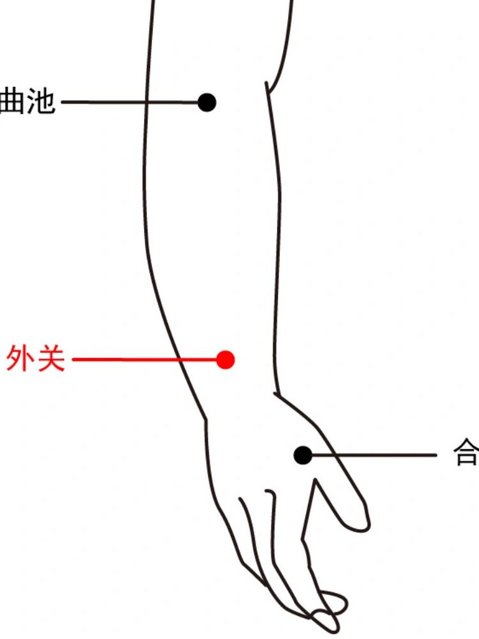 外关的准确位置图的图片