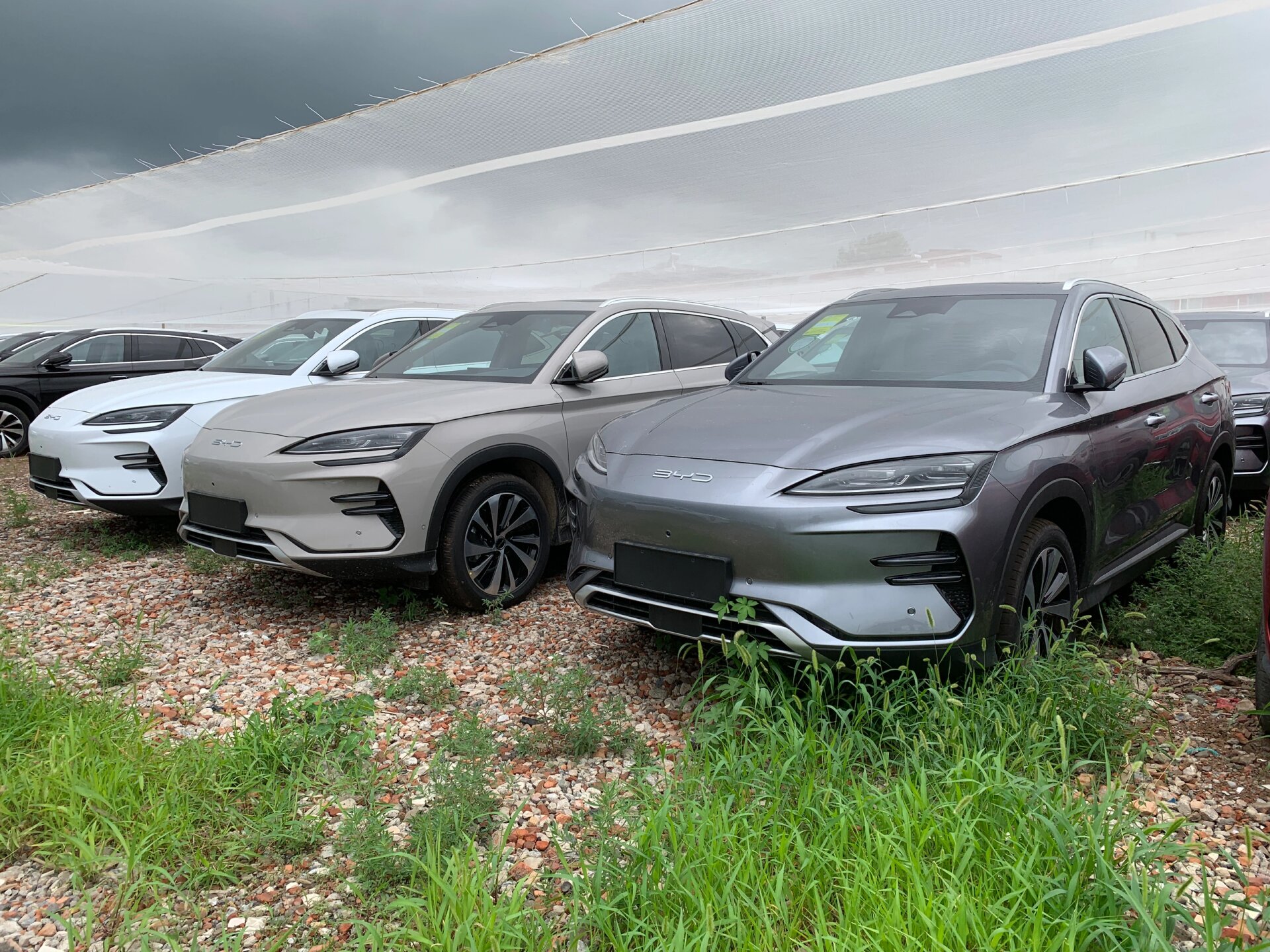 白,灰,苍烟色你喜欢哪一款 #新车# #比亚迪# 比亚迪宋plusev续航520km