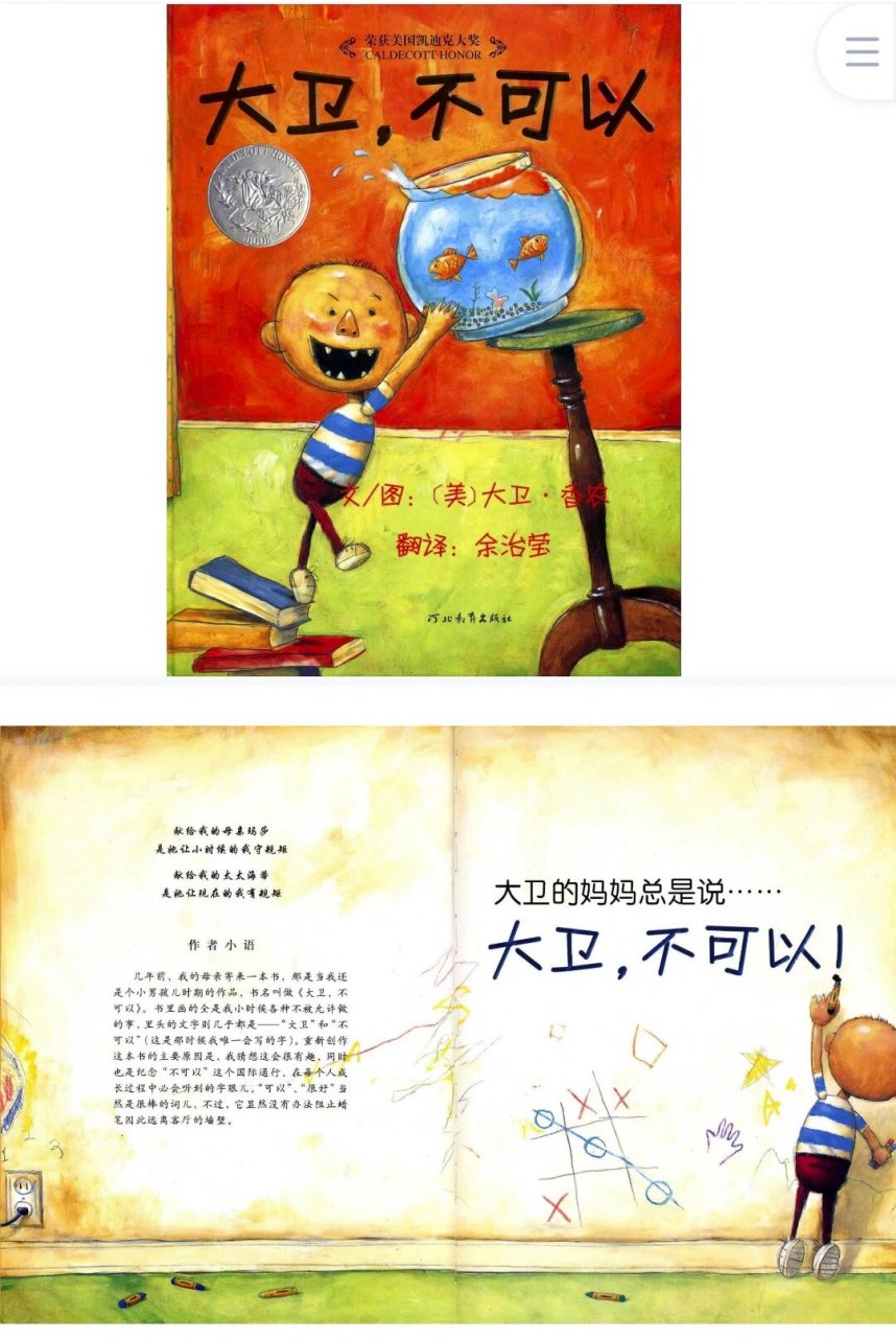 绘本《大卫不可以》附教案 攒了上千个绘本ppt,可以无偿分享,有需要的