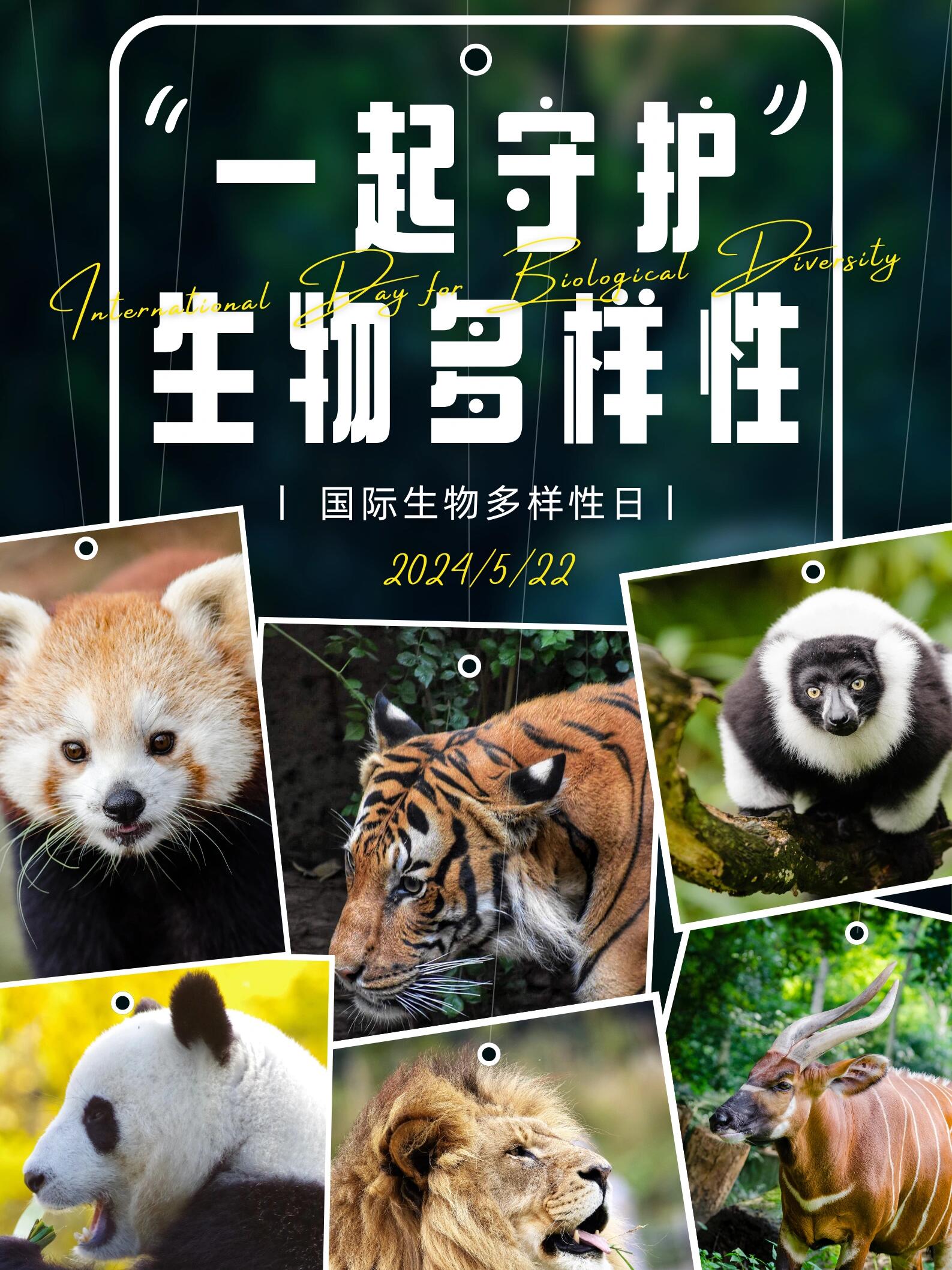 今天是国际生物多样性日哦