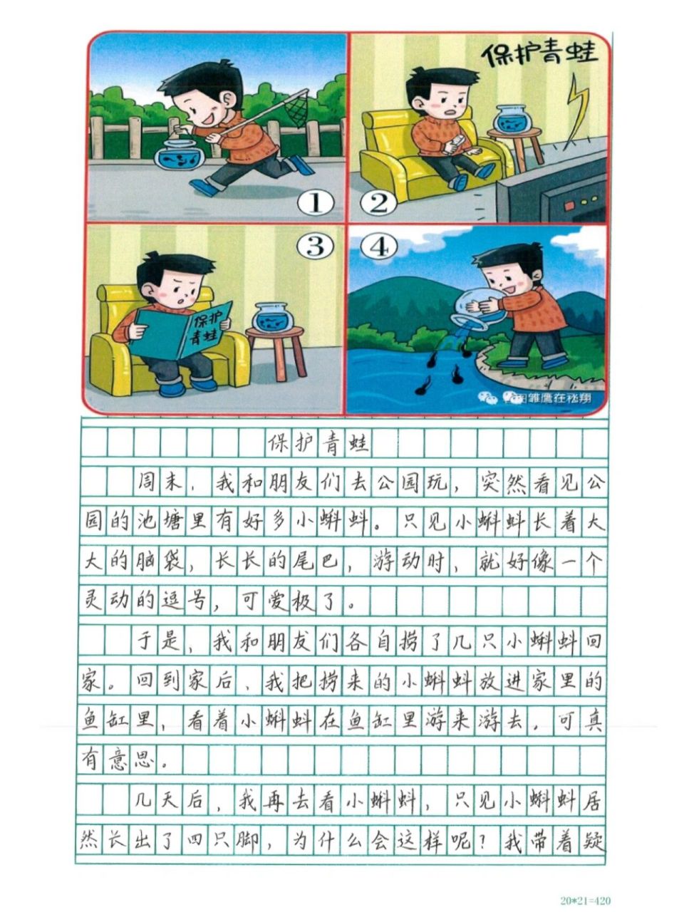 看图写话--保护青蛙