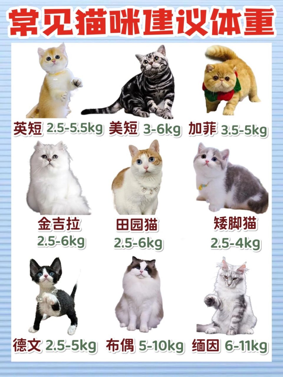 猫咪体重自查表 减肥猫粮 处方粮日粮分享 超出正常体重30%以上的猫咪