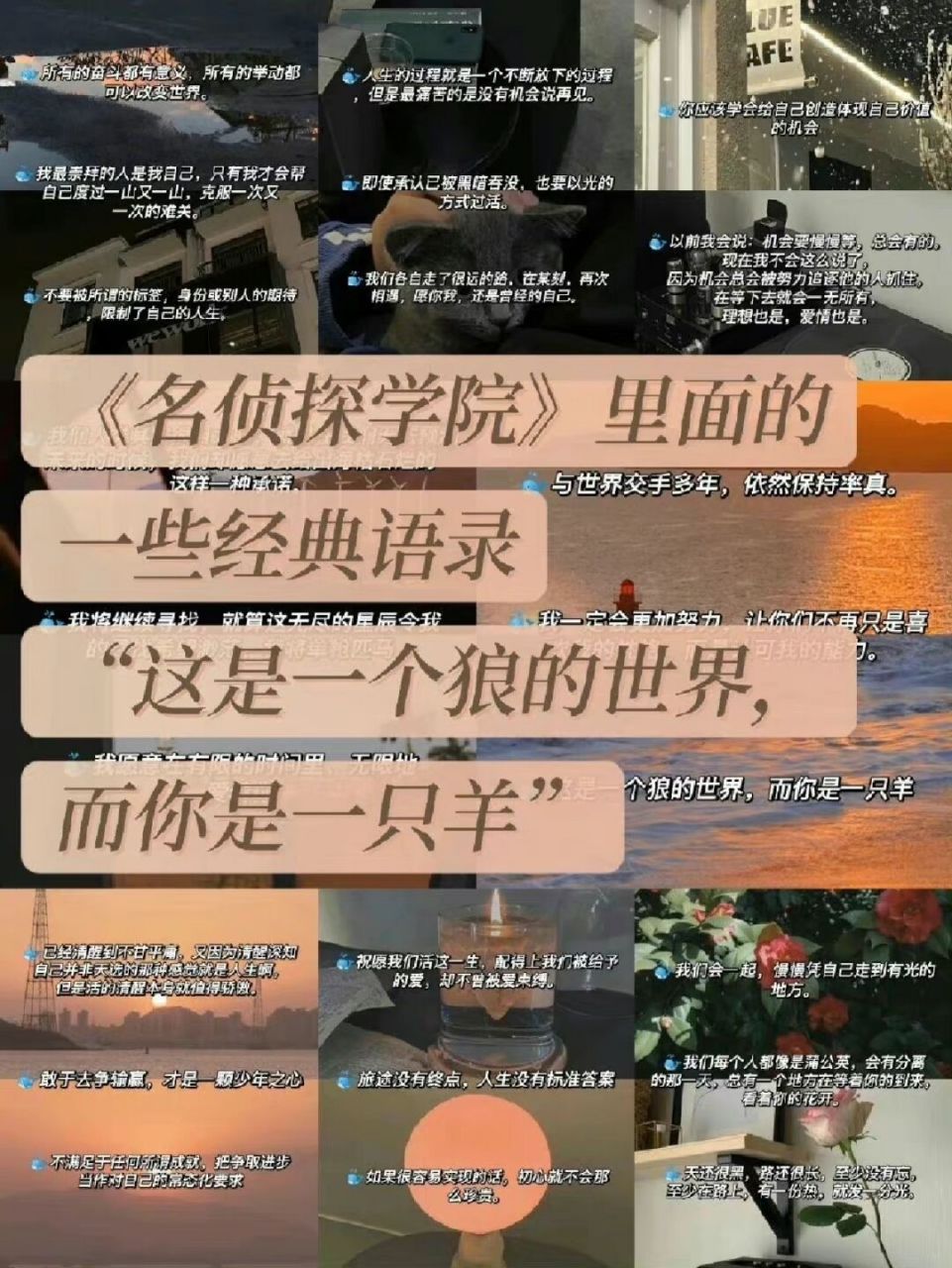 才是一颗少年之心 " #努力成为更好的自己# #名侦探学院# #经典语 