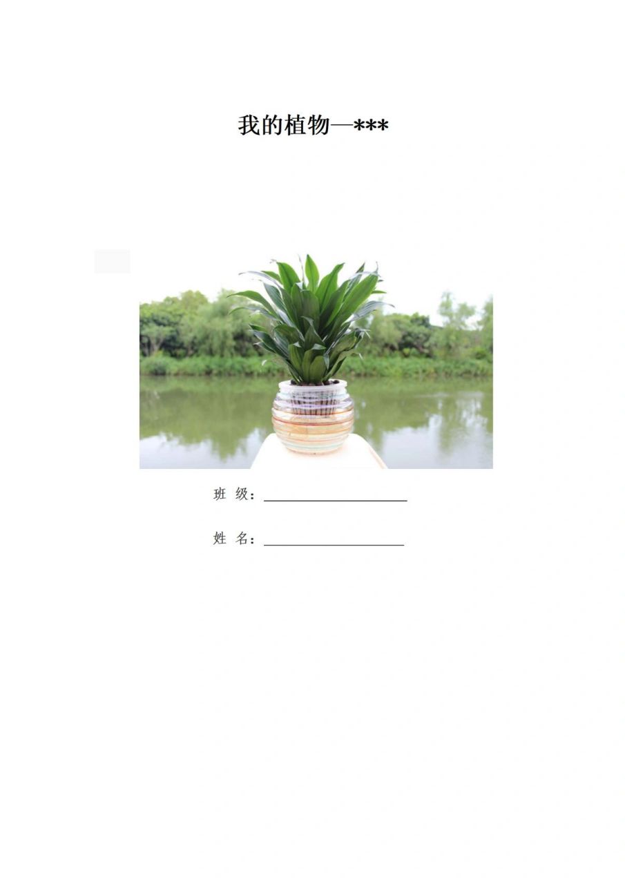 我的植物观察记录表