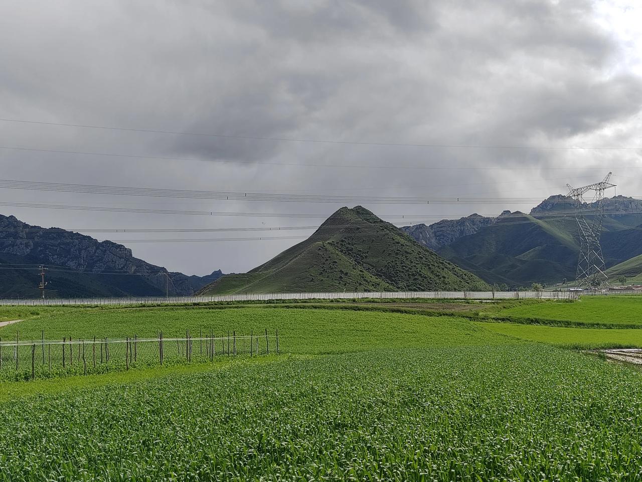 郁郁葱葱的树木,覆盖着山峦,像是大地的绿色华裳.