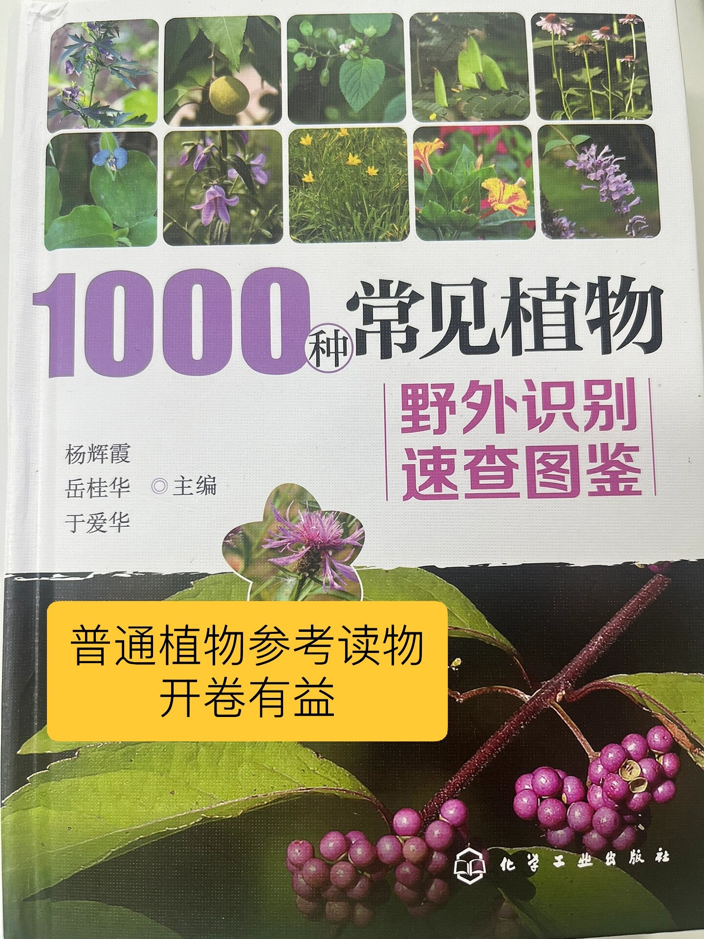 于是乎,在当当网上买了这一本化工出版社的植物识别.阅读一番后