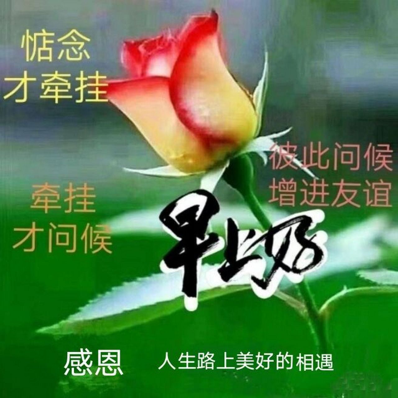 94早安,感恩人生路上美好的相遇/ 92牵挂永远都在,问候始终如一