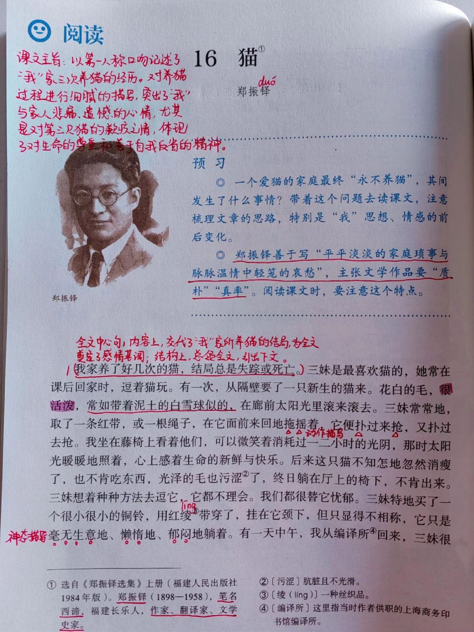 七上语文16课《猫》