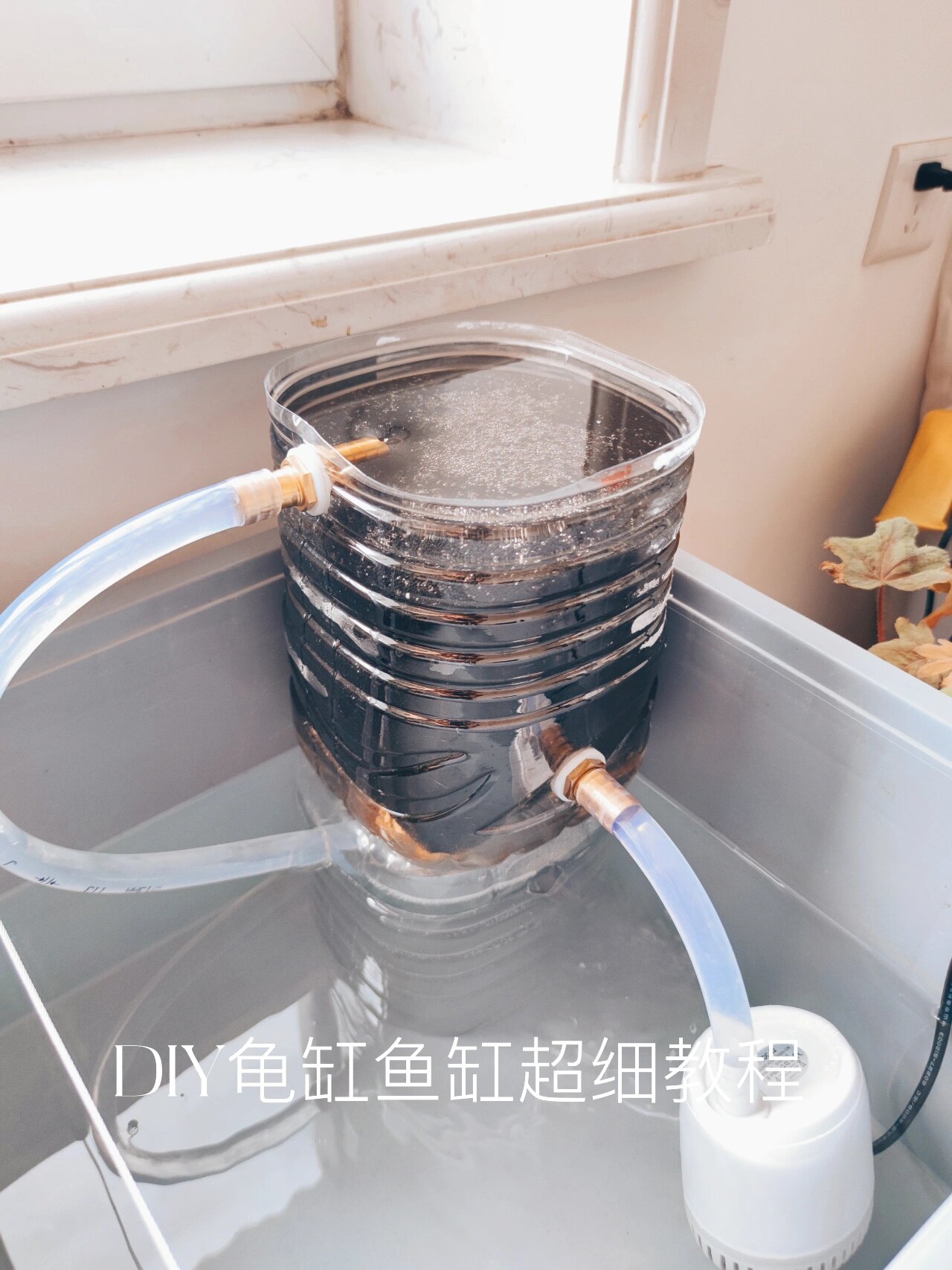 diy乌龟缸制作过程图片