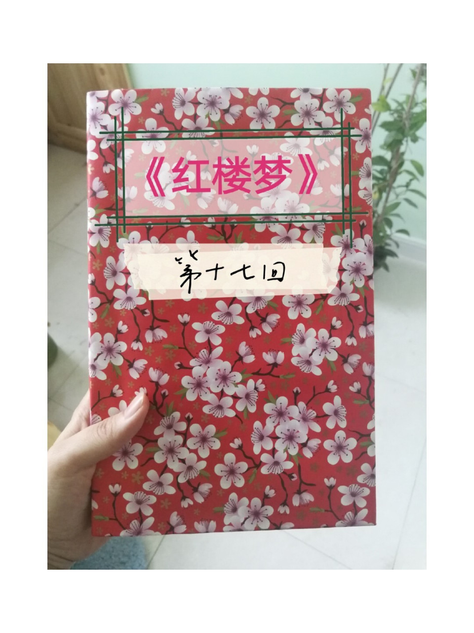 98笔记|《红楼梦》第十七回98附读后感 · 97书接上回~ 书名