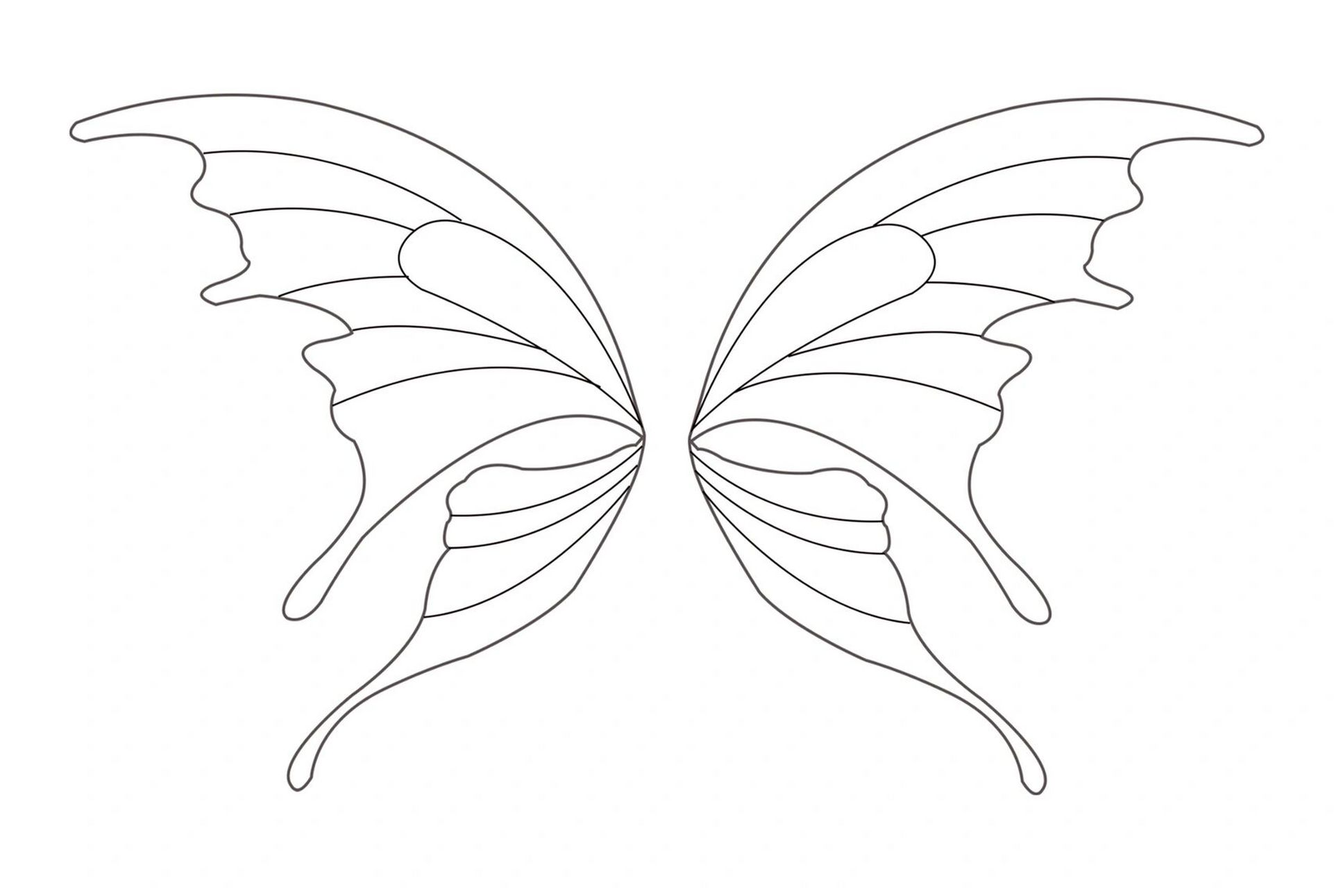 蝴蝶翅膀简笔画花纹图片
