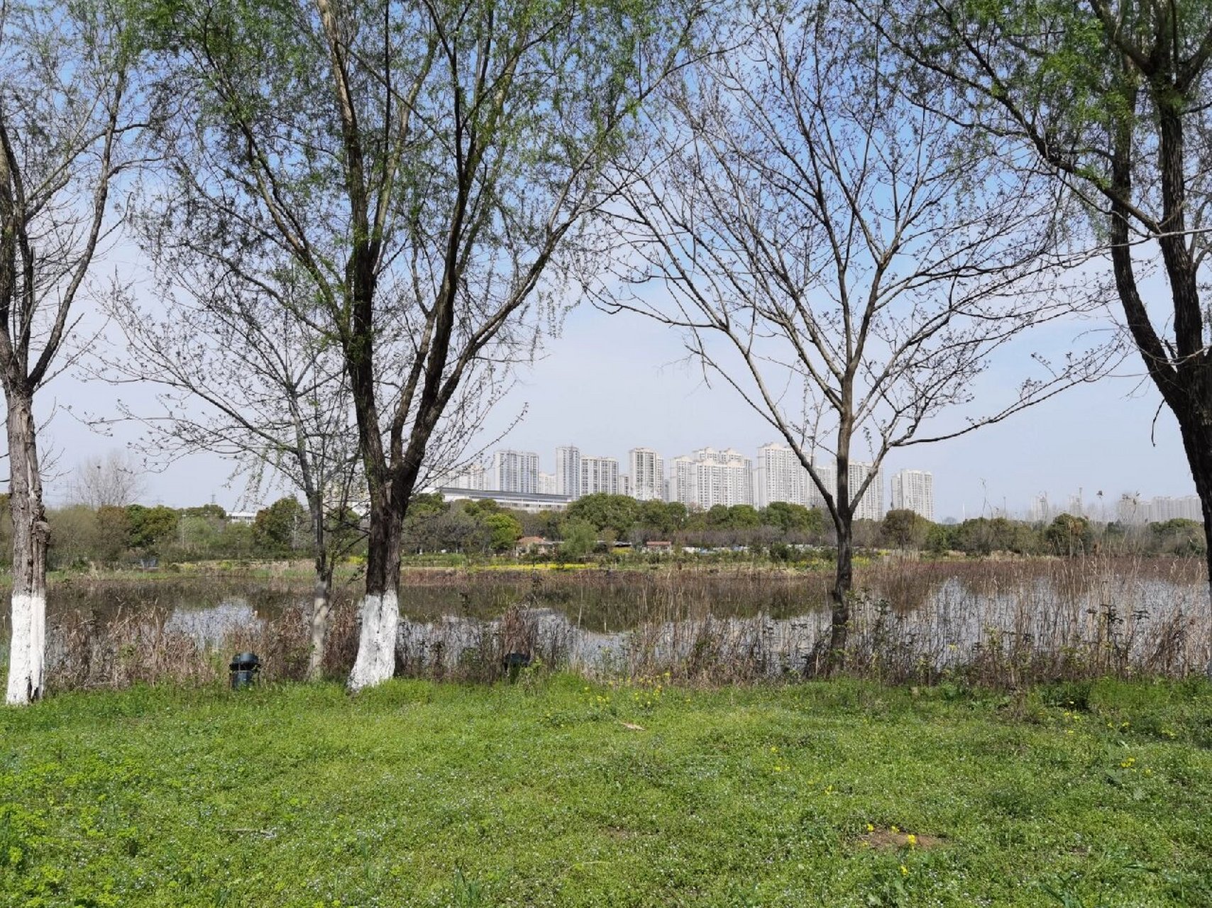 武汉后官湖湿地公园,位于武汉市蔡甸区后官湖畔,占地总面积约530公顷