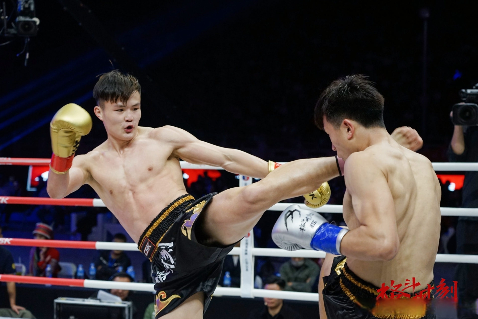 格斗##格斗时刻# 提前锁定胜局,白鲨格斗3:1!