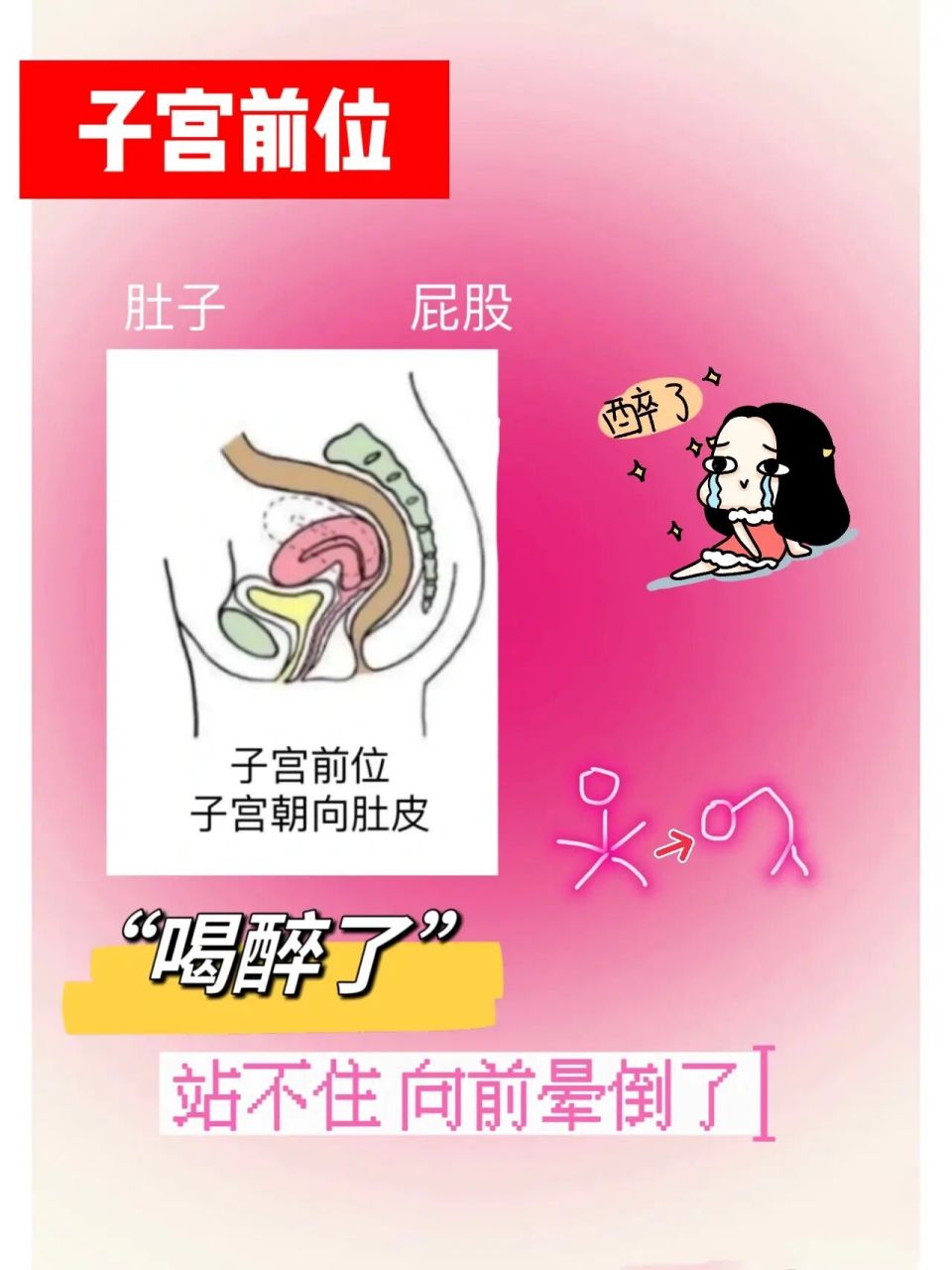 【探秘子宫位置】子宫前后位到底影响什么?