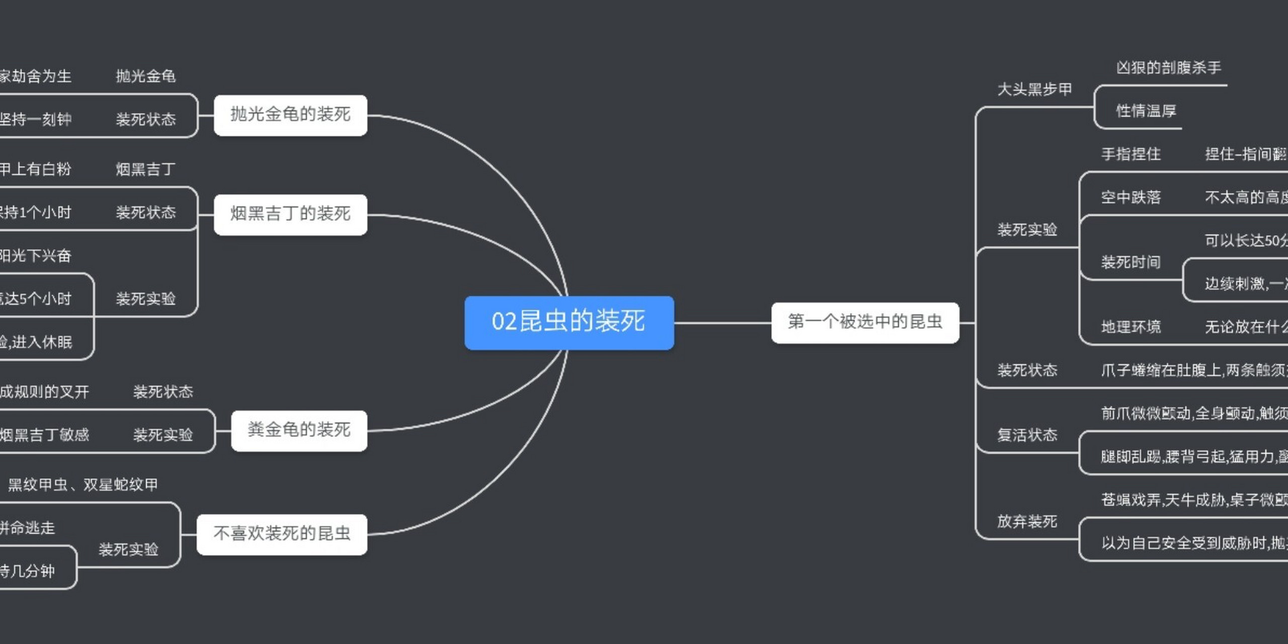 昆虫的装死思维导图图片