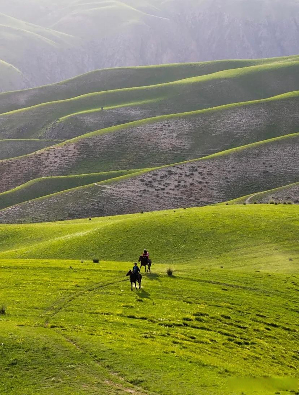 新疆旅游|喀拉峻大草原|醉美的立体草原  喀拉峻草原被《国家地理》称