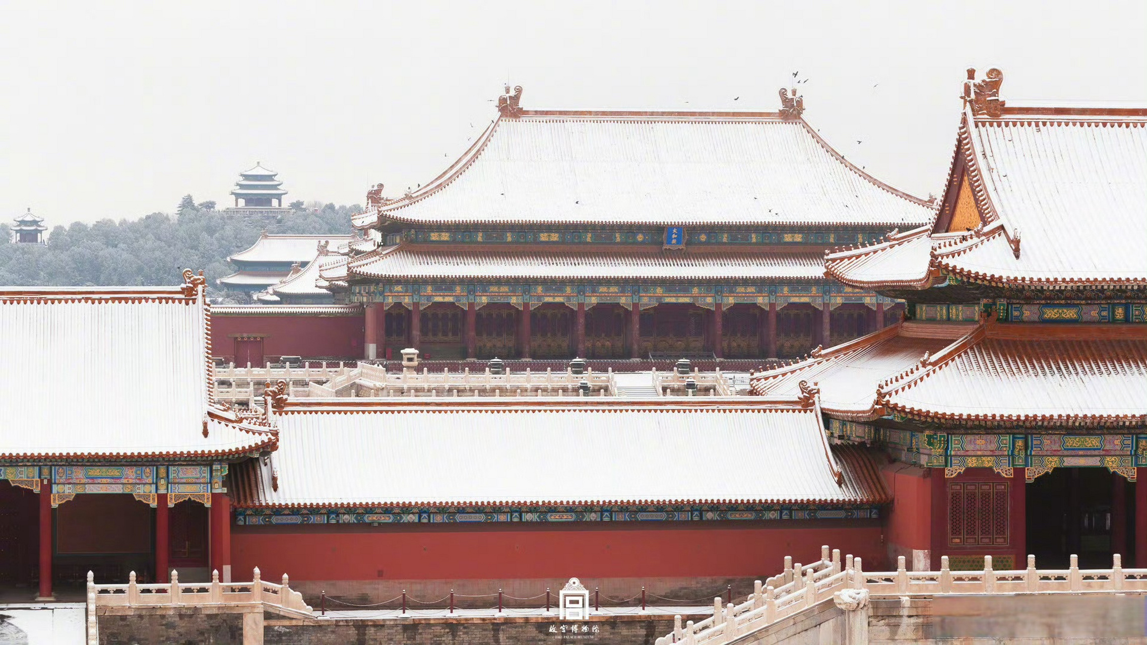 故宫雪景高清壁纸】故宫博物院 发布组图:一夜之间,故宫内外银装素裹.
