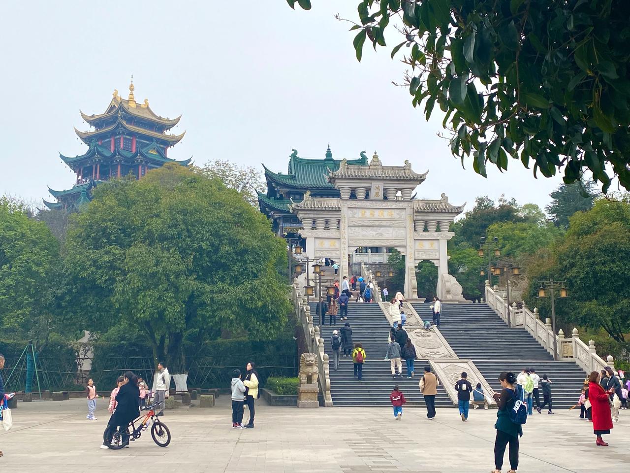 趁着春光明媚,从大庆村往鸿恩寺森林公园山上爬去,果然是别有天地