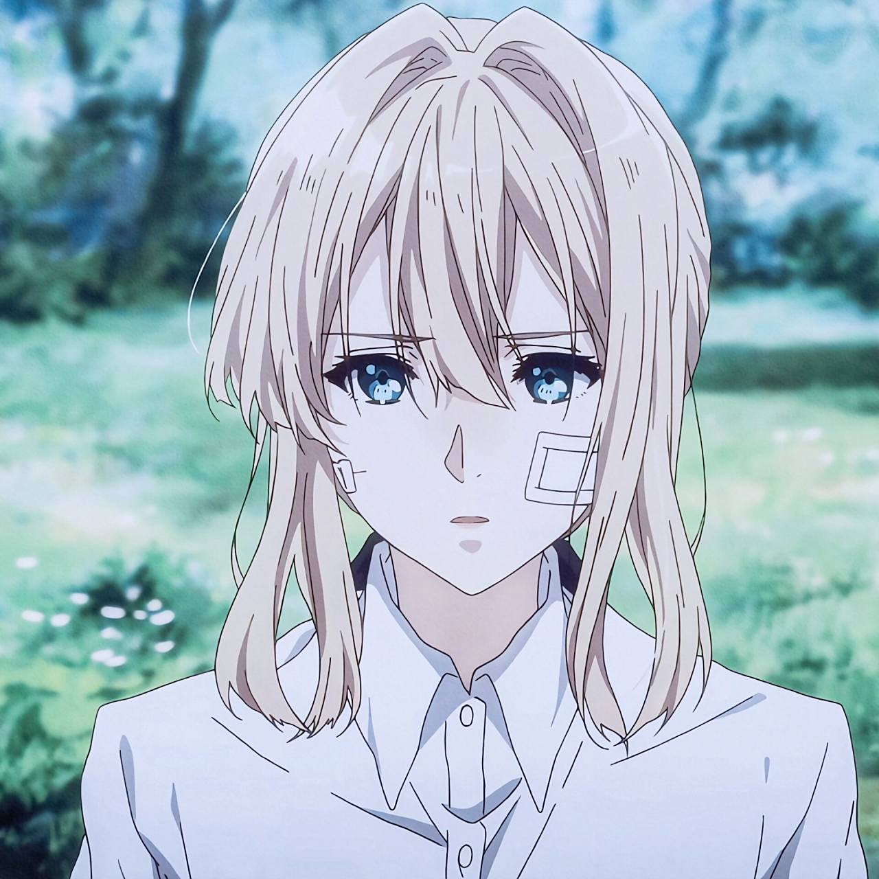 薇尔莉特  自截自调 禁二改搬运 礼拿