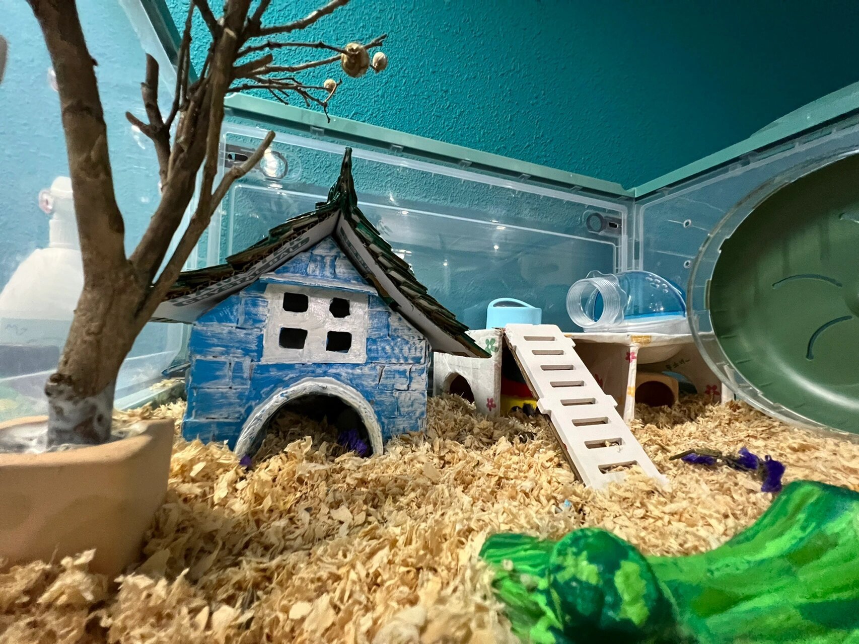 diy仓鼠小窝 为我家小仓用纸盒做了一个小房子,一个小平台,还有一个