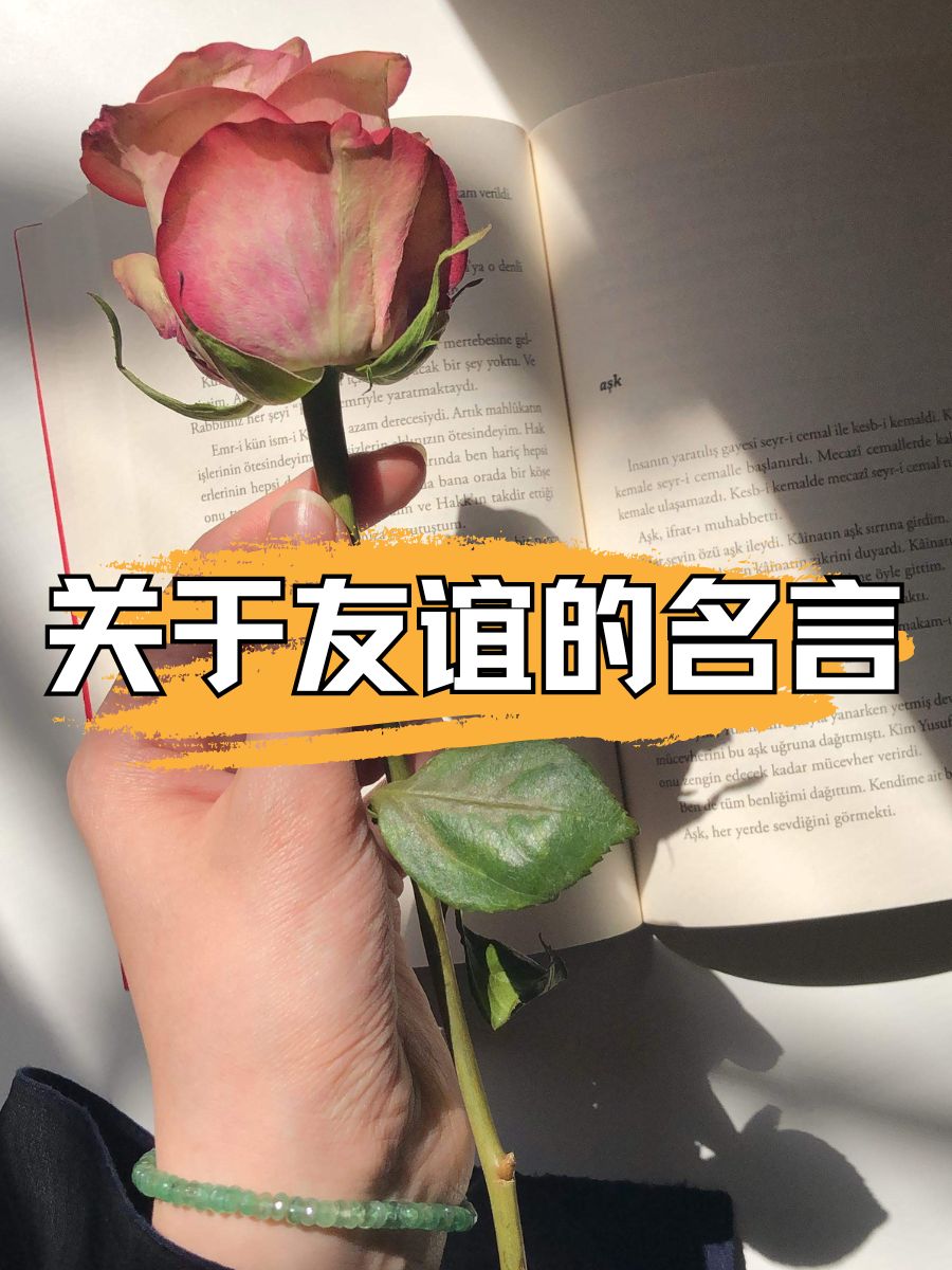 关于友谊的名言  朋友如醇酒,愈久愈香.  真正的友谊,经得起时间考验.