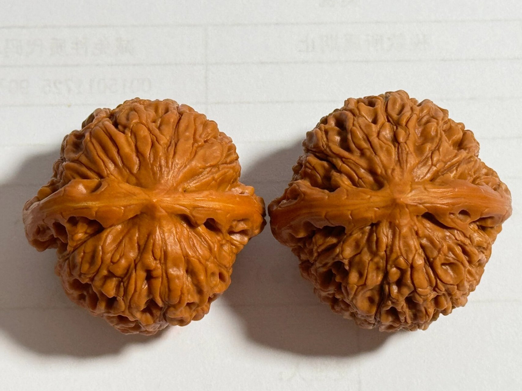 核桃回血 水龙纹核桃   超低价出闲置       边40  肚40  高33   微修