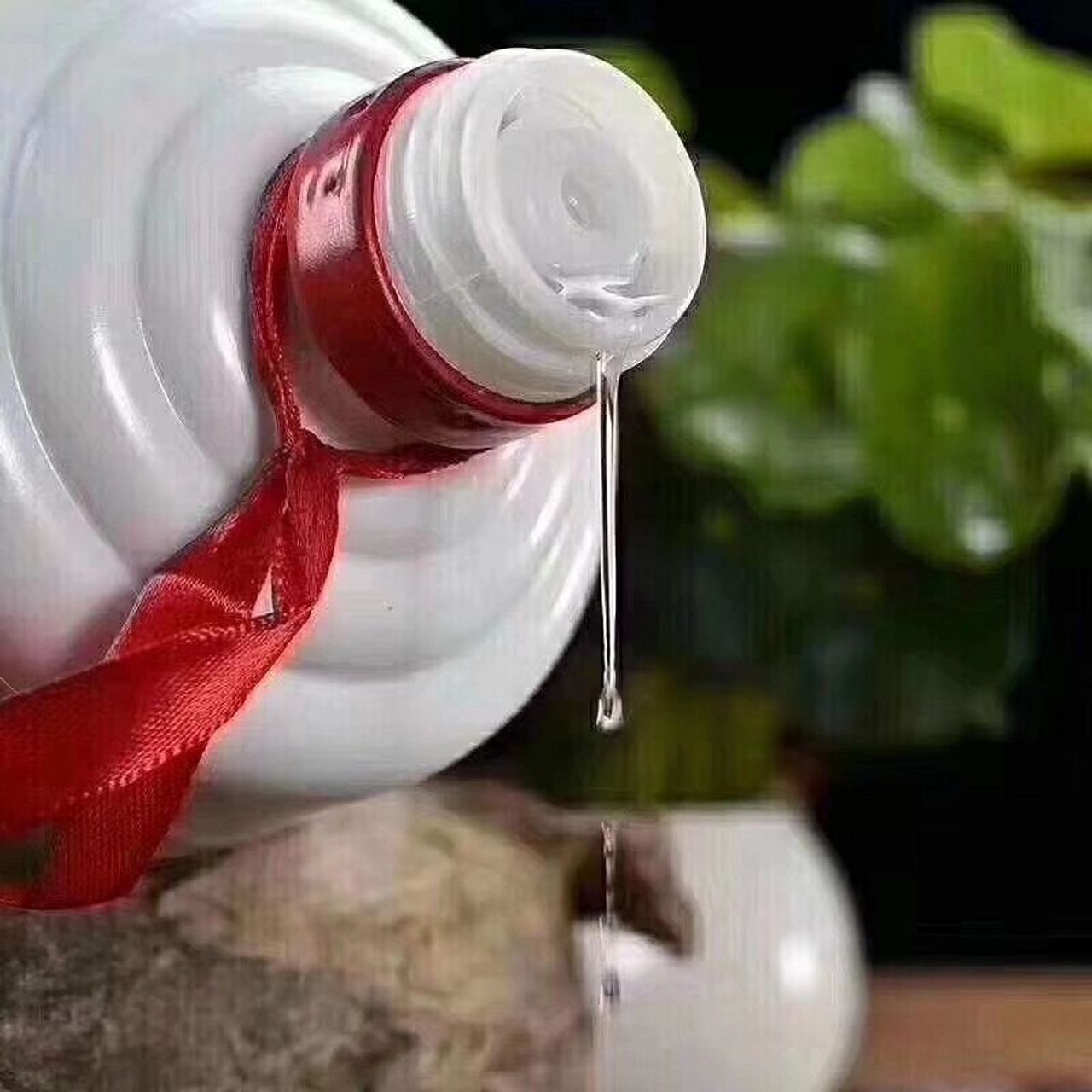 因为省去了奢华的包装,只凭借着白酒的香味与好的口感,也让很多光瓶酒