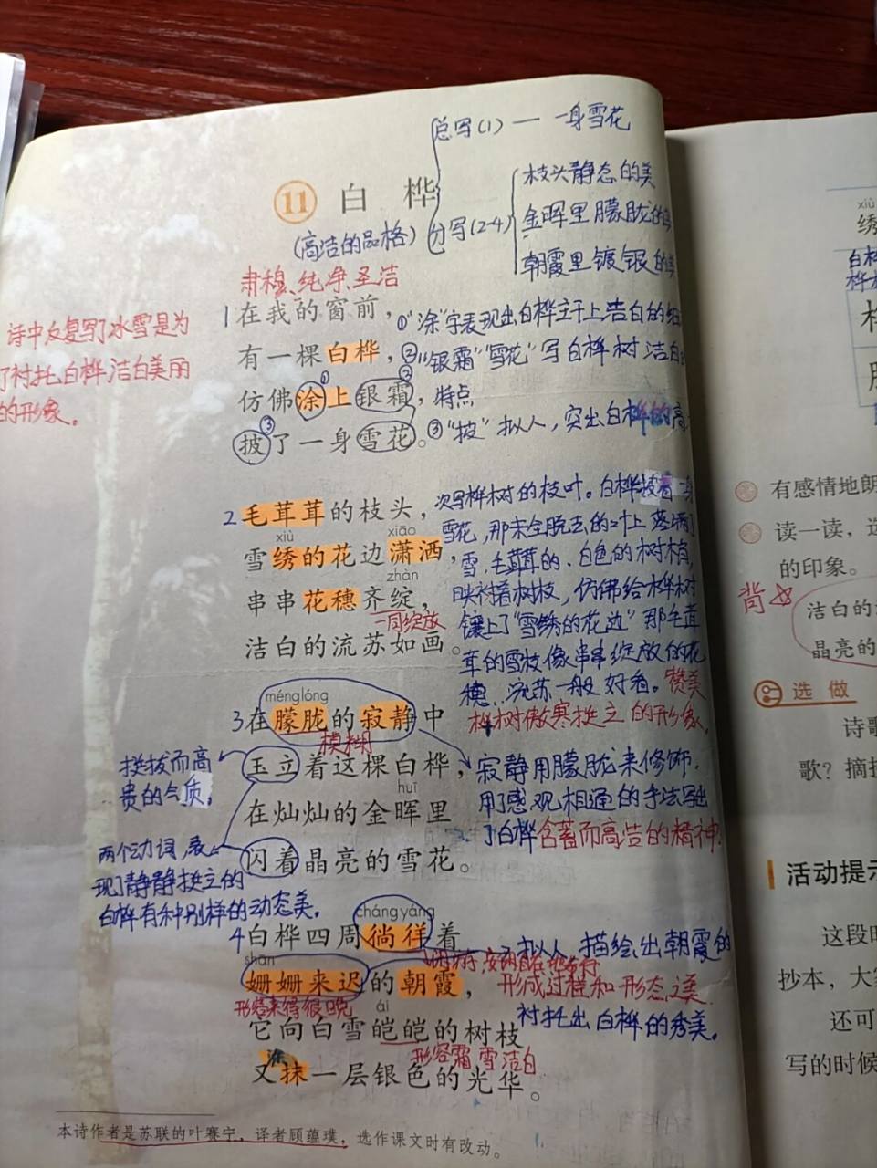 第十一课 白桦 #四年级语文下册课堂笔记# #四年级语文下册# #四年级