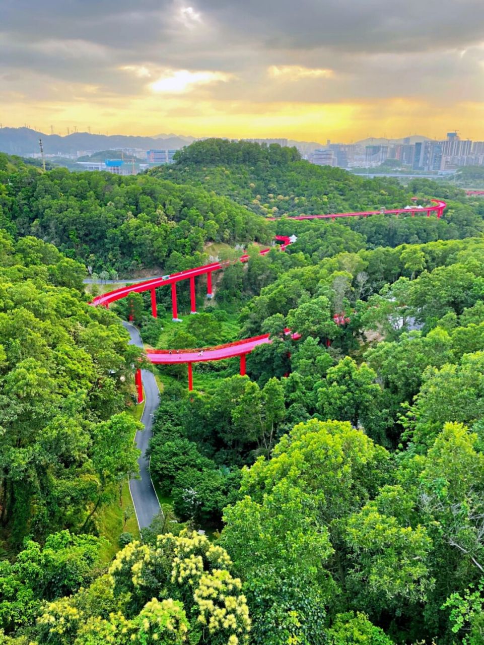 徒步光明大顶岭绿道|打卡网红4桥 在深圳跑步骑车,健身游憩,休闲漫游