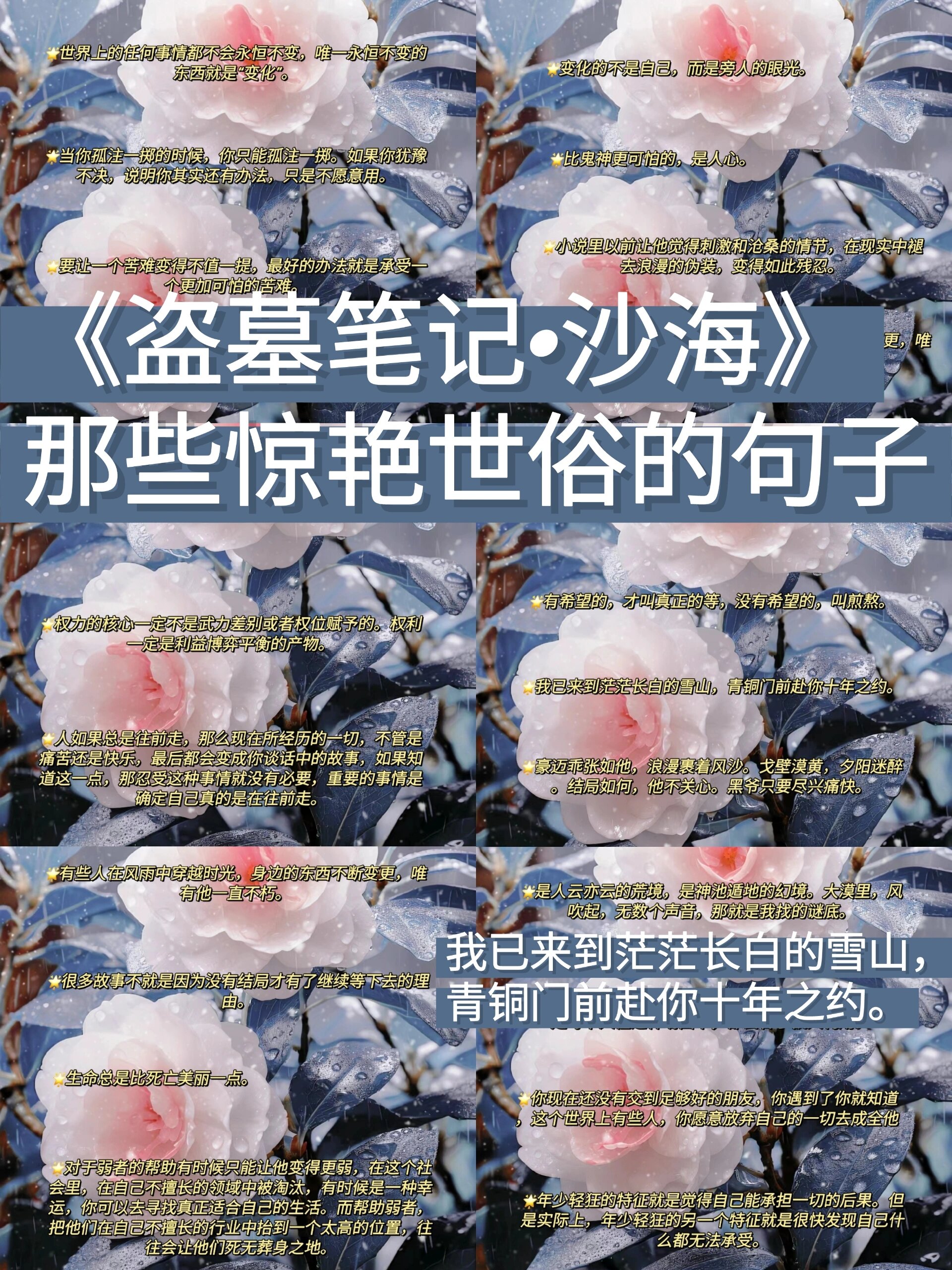 《盗墓笔记·沙海》那些惊艳世俗的句子