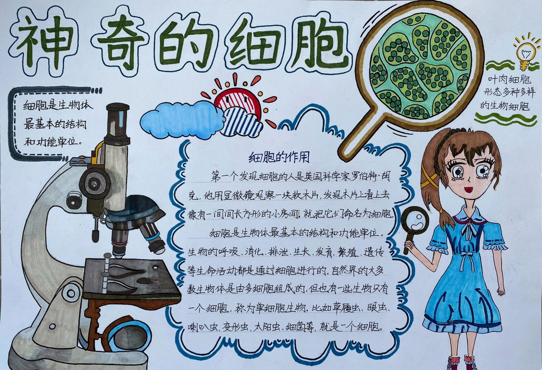 科学小报#小学六年级上册细胞手抄报