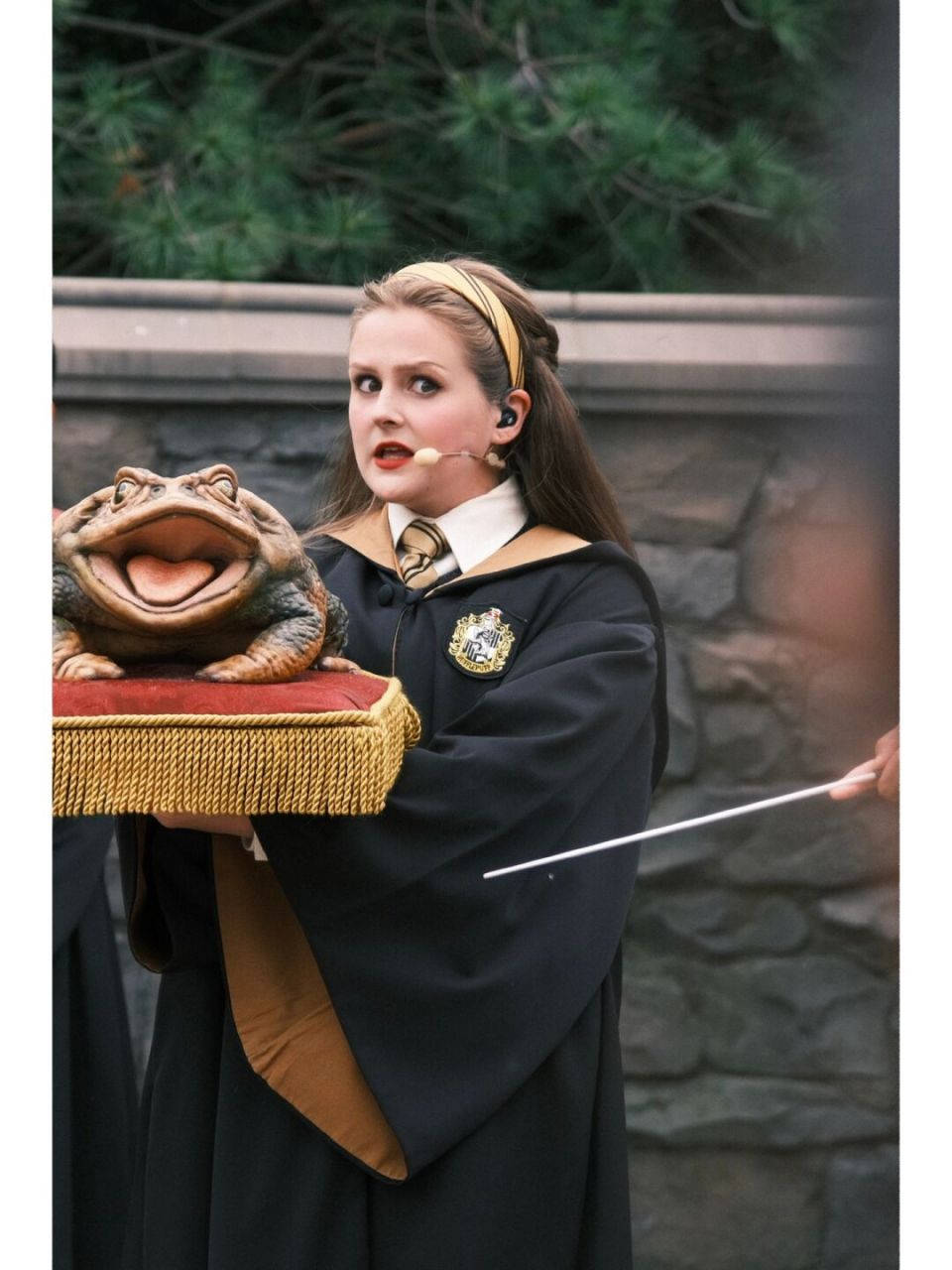 擅长情绪调节的赫奇帕奇05 表情非常丰富的獾院学生.