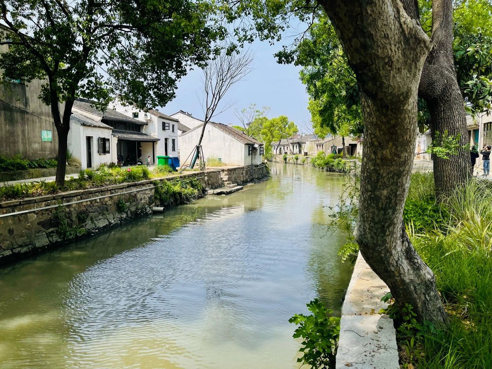 常州古镇看这里 焦溪古镇,很冷门,但是风景比青果巷好人少,无商业化.