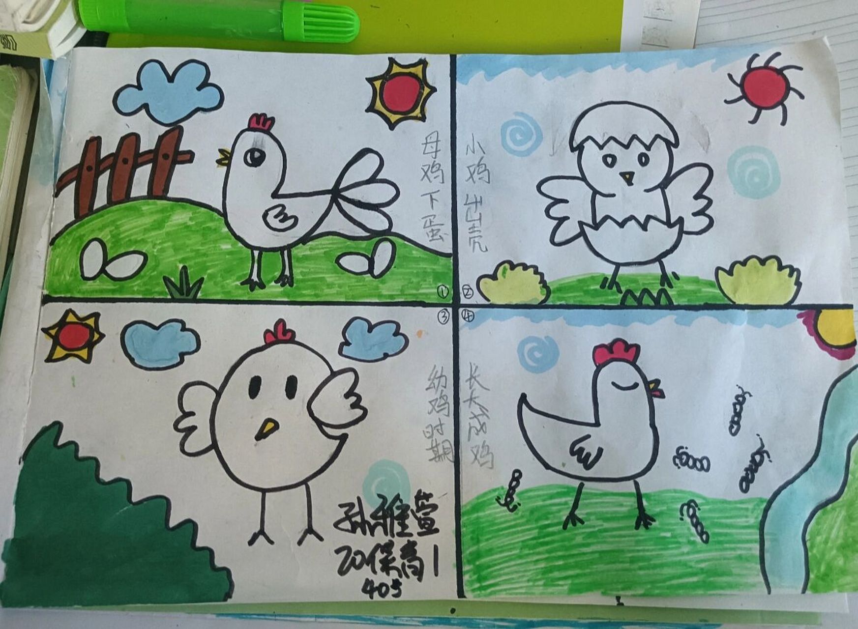 鸡妈妈和小鸡的简笔画图片
