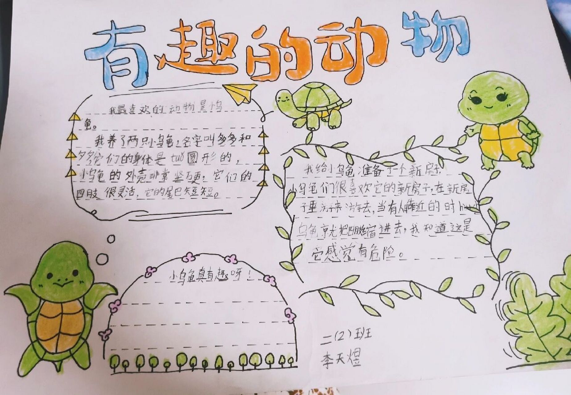二年级有趣的动物手抄报