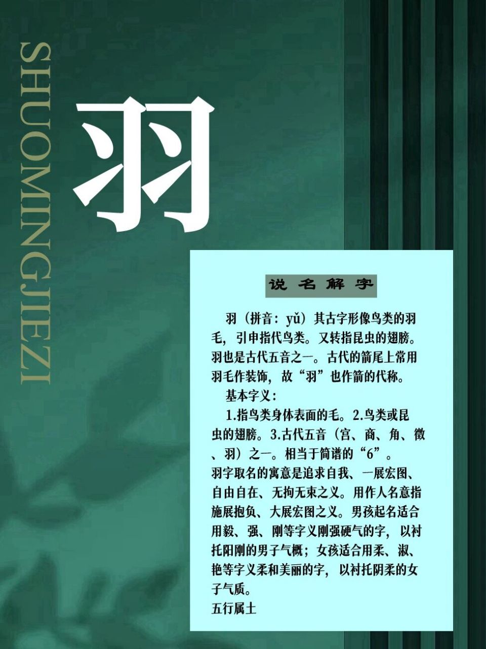 宝宝起名常用字解析 羽(拼音:yǔ)其古字形像鸟类的羽毛,引申指代鸟类