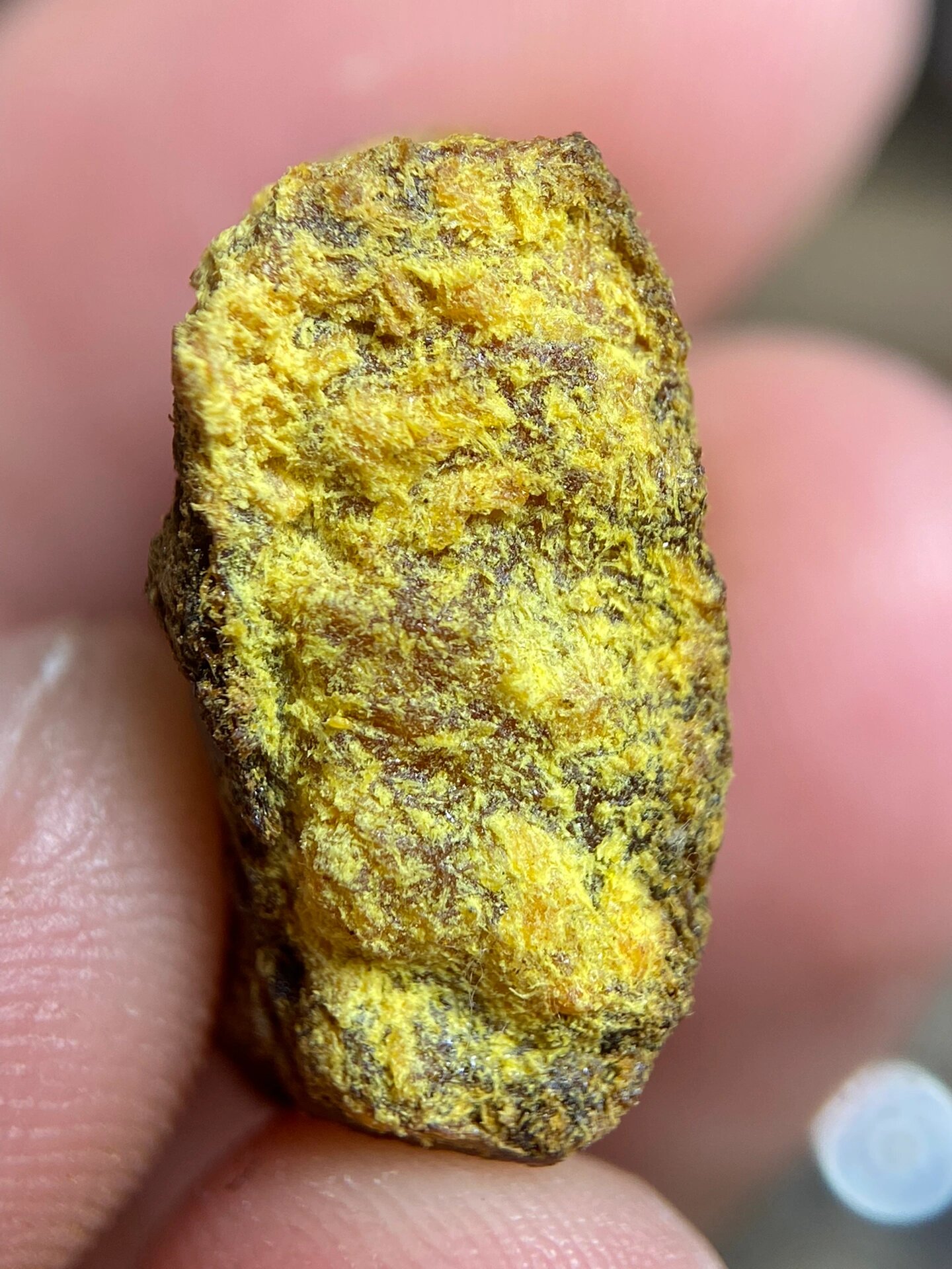 贡木沉香结晶体 高端货,机缘巧合之下寻得一根印贡沉香油脂结晶料