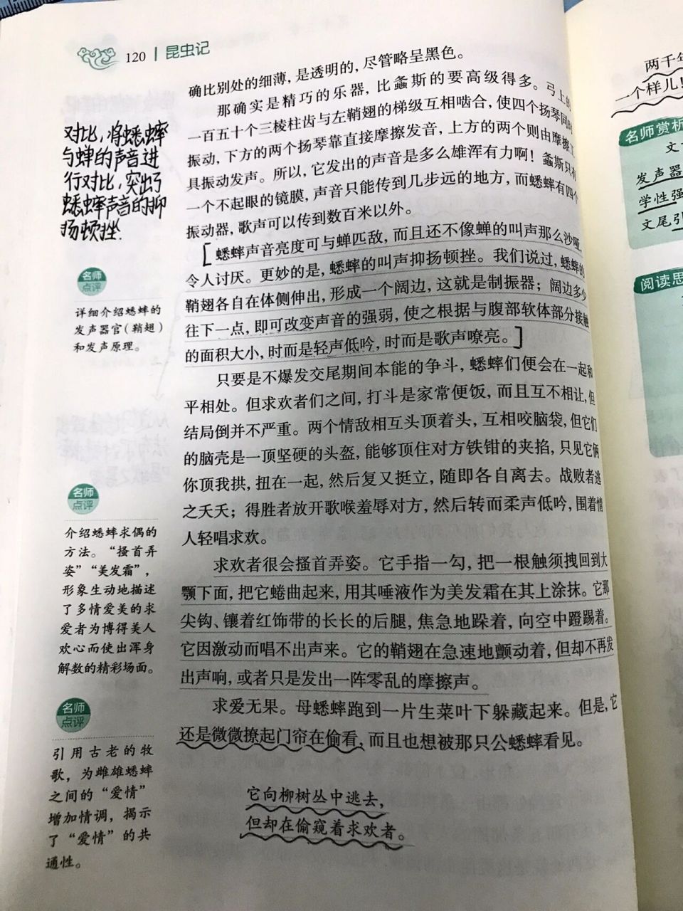 昆虫记十三章《田野地头的蟋蟀》批注