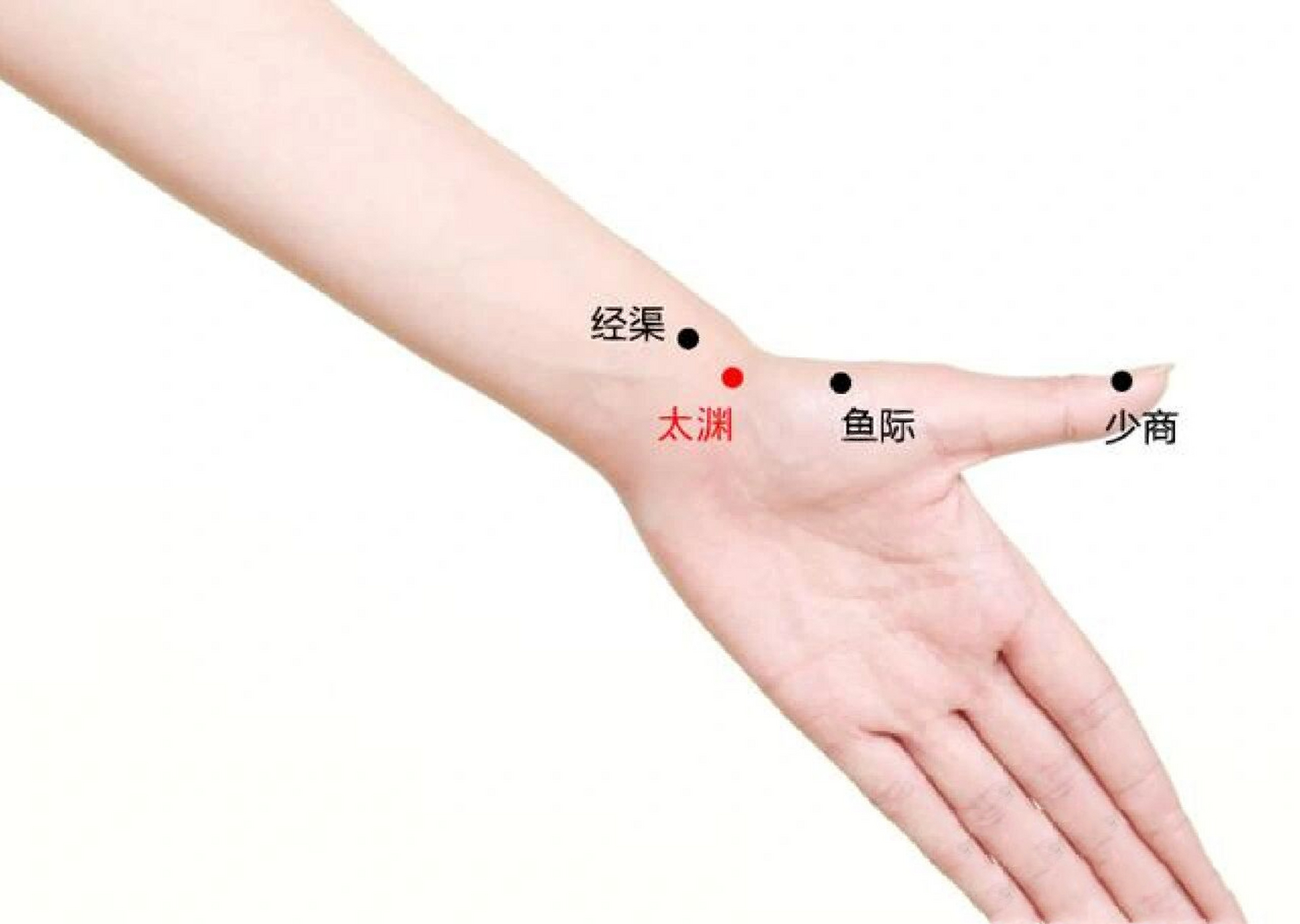 太渊穴 位于前臂腕横纹桡侧 太渊位于前臂腕横纹桡侧,用指腹能感觉到