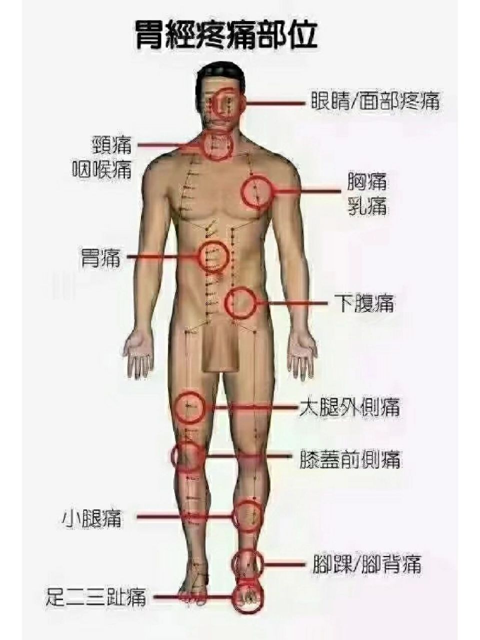 经络辩证痛在哪里《身体疼痛对照表 世界上再也没有比健康更重要的