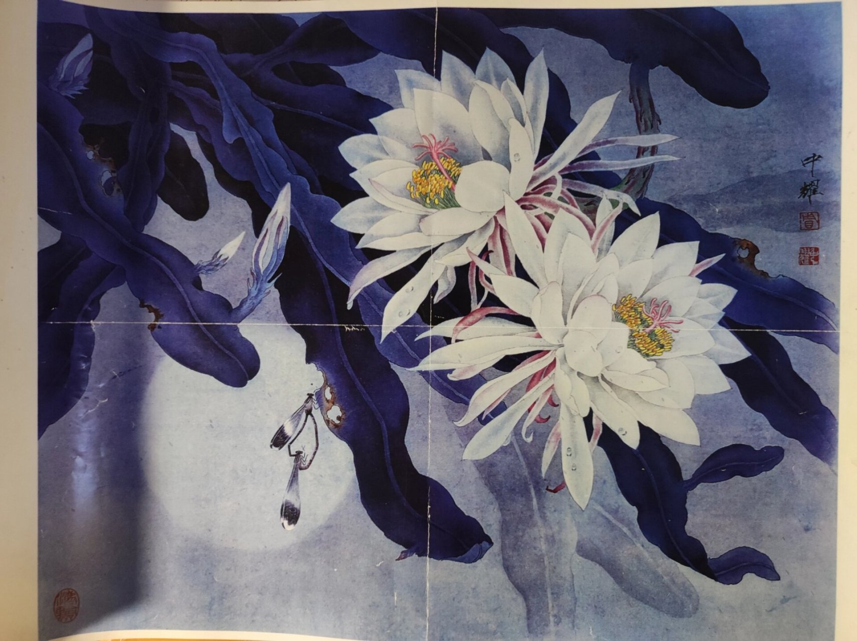 工笔画线描015昙花557245 有原图和色稿