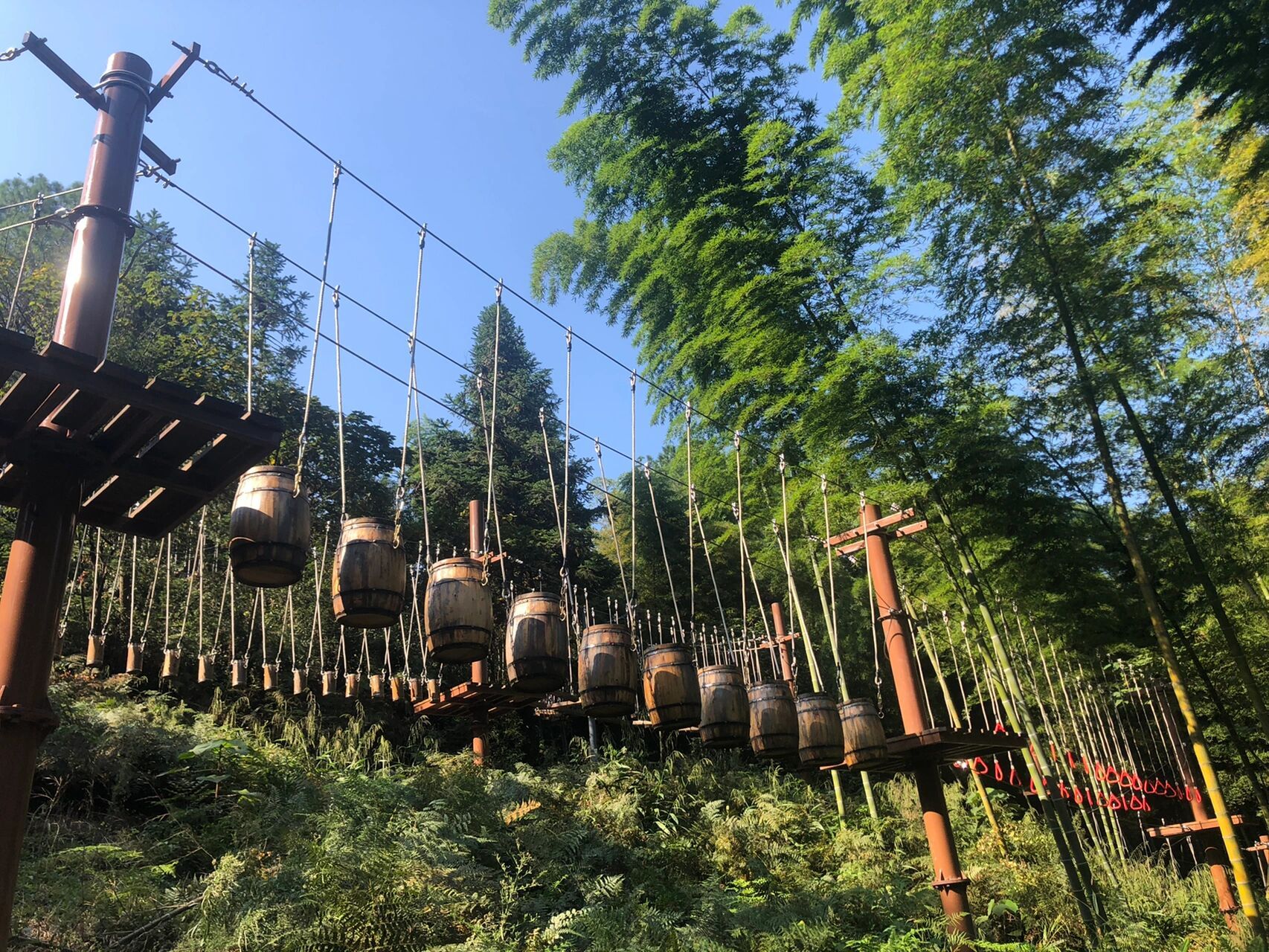 国庆永川两日游(或三日) 行程安排:茶山竹海-乐和乐都(动物园 游乐园)