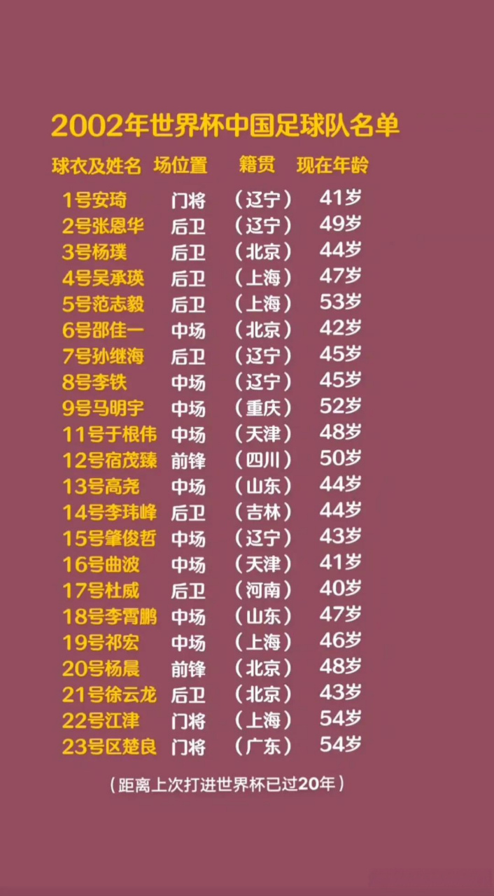 2002年世界杯中国足球队名单[灵光一闪]