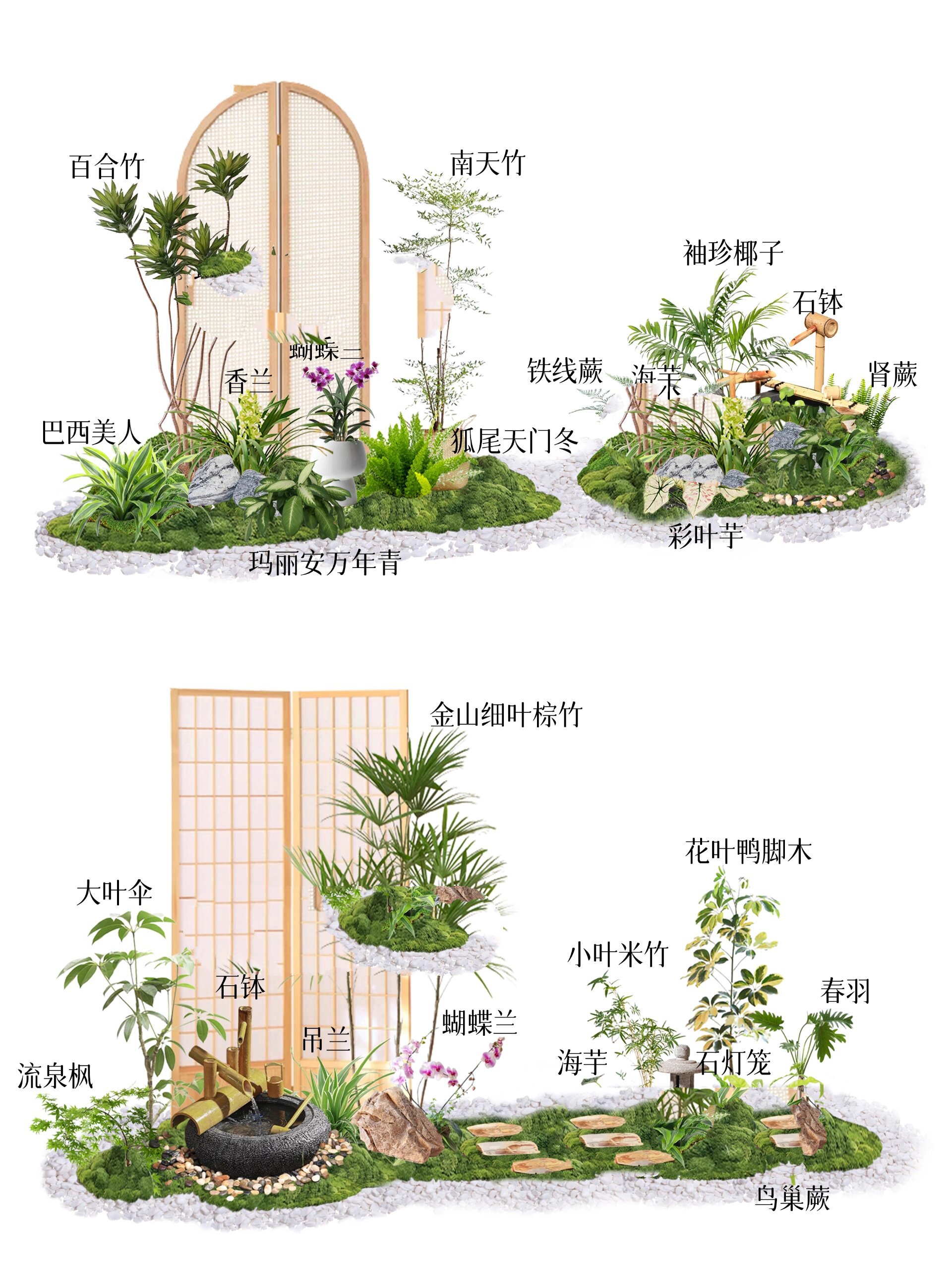 植物造景的美学原理图片