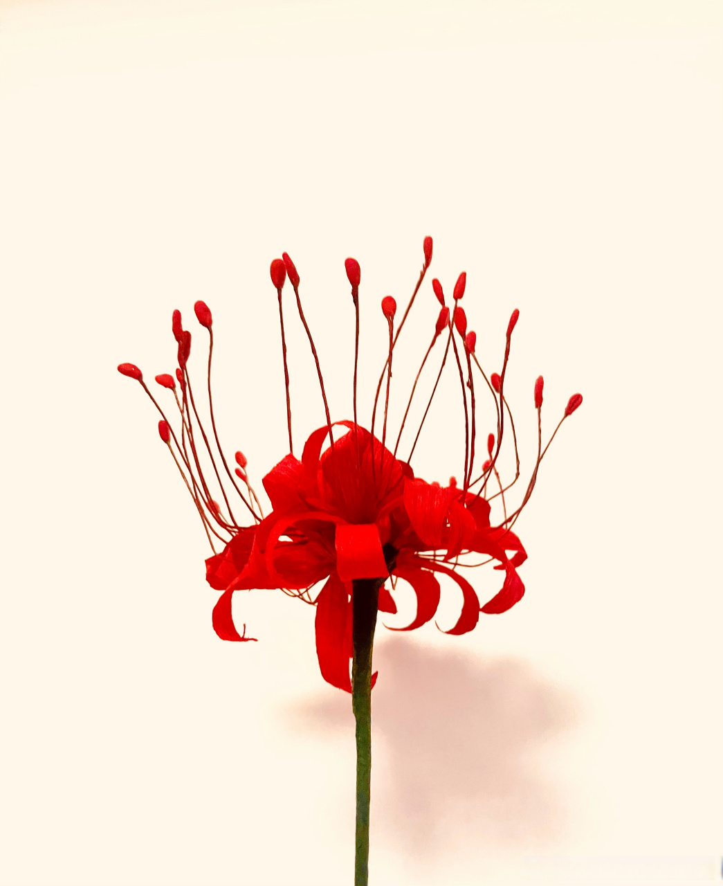 新的纸艺花作品-彼岸花 #纸艺花##手工制作##彼岸花