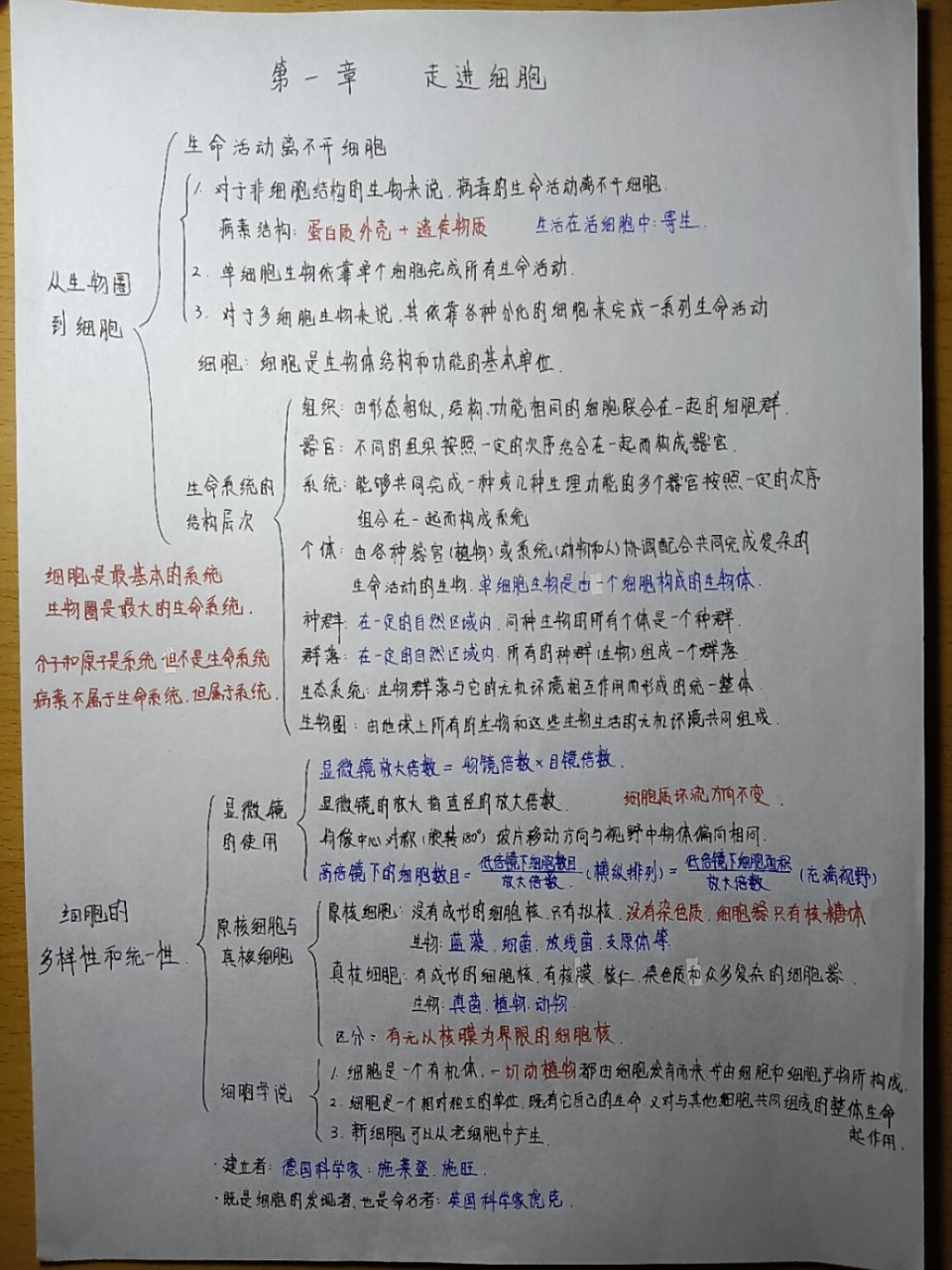 高中生物必修一 高中生物必修一思维导图