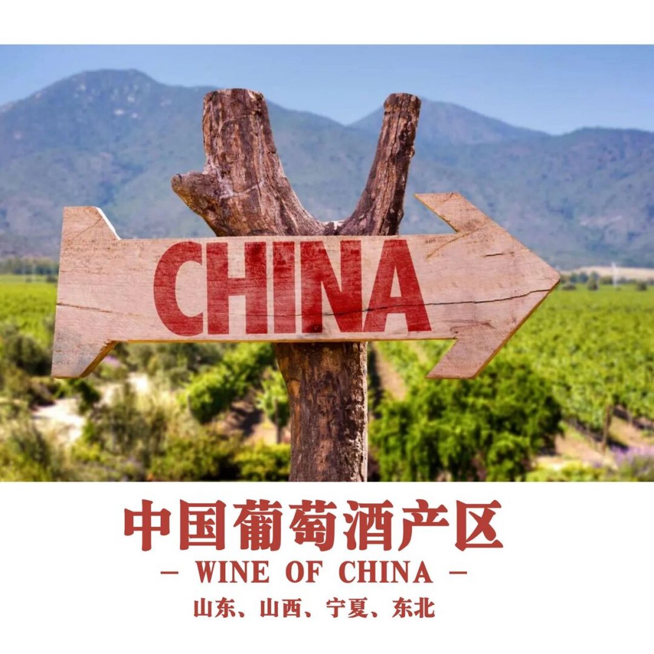 干货收藏丨中国葡萄酒产区(上) 中国葡萄酒历史 虽然是葡萄酒新世界