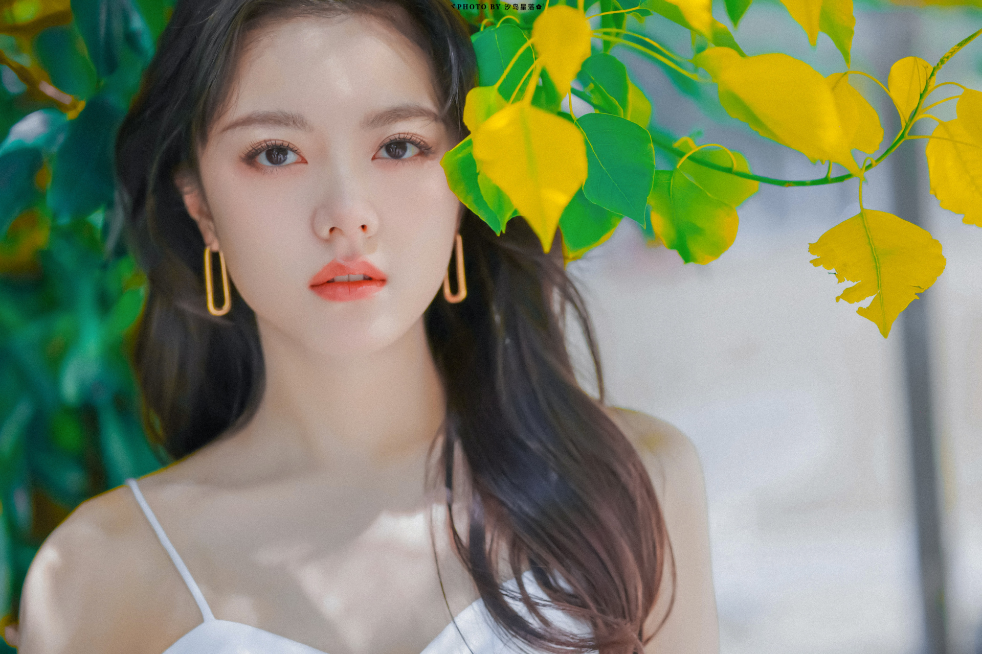 赵今麦#  *  壁纸  绿丝带95